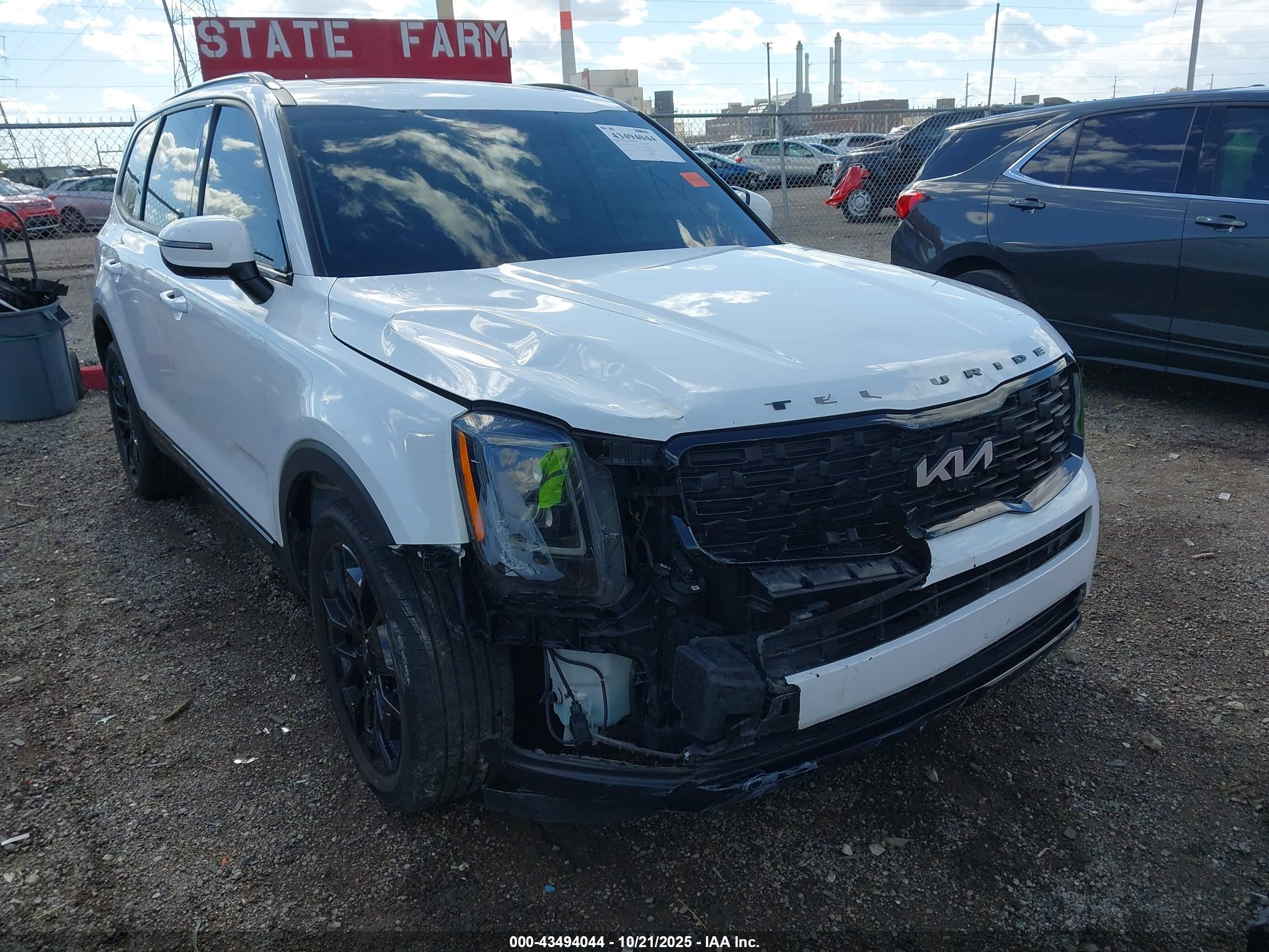 KIA TELLURIDE image 6