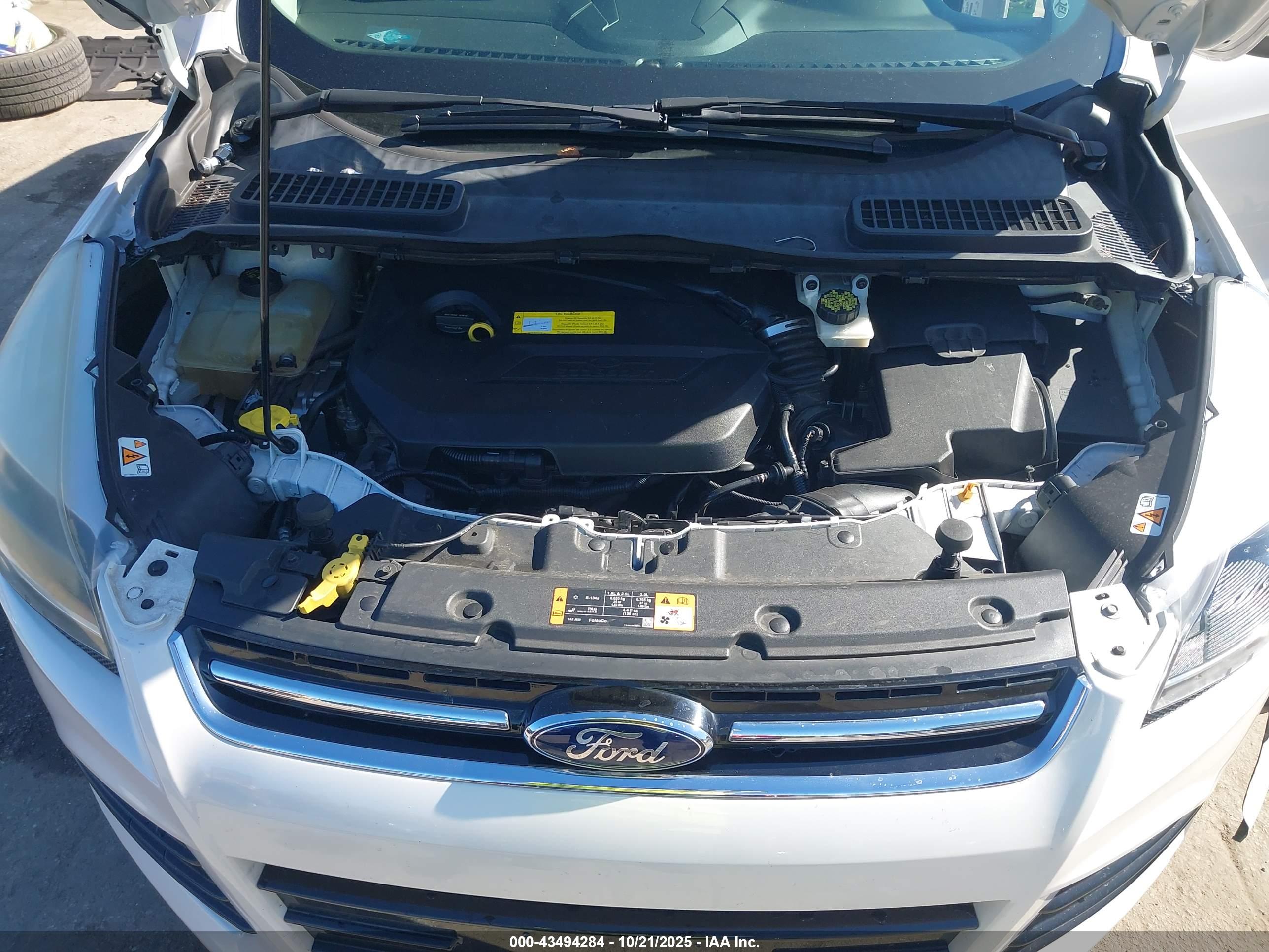 FORD ESCAPE image 10