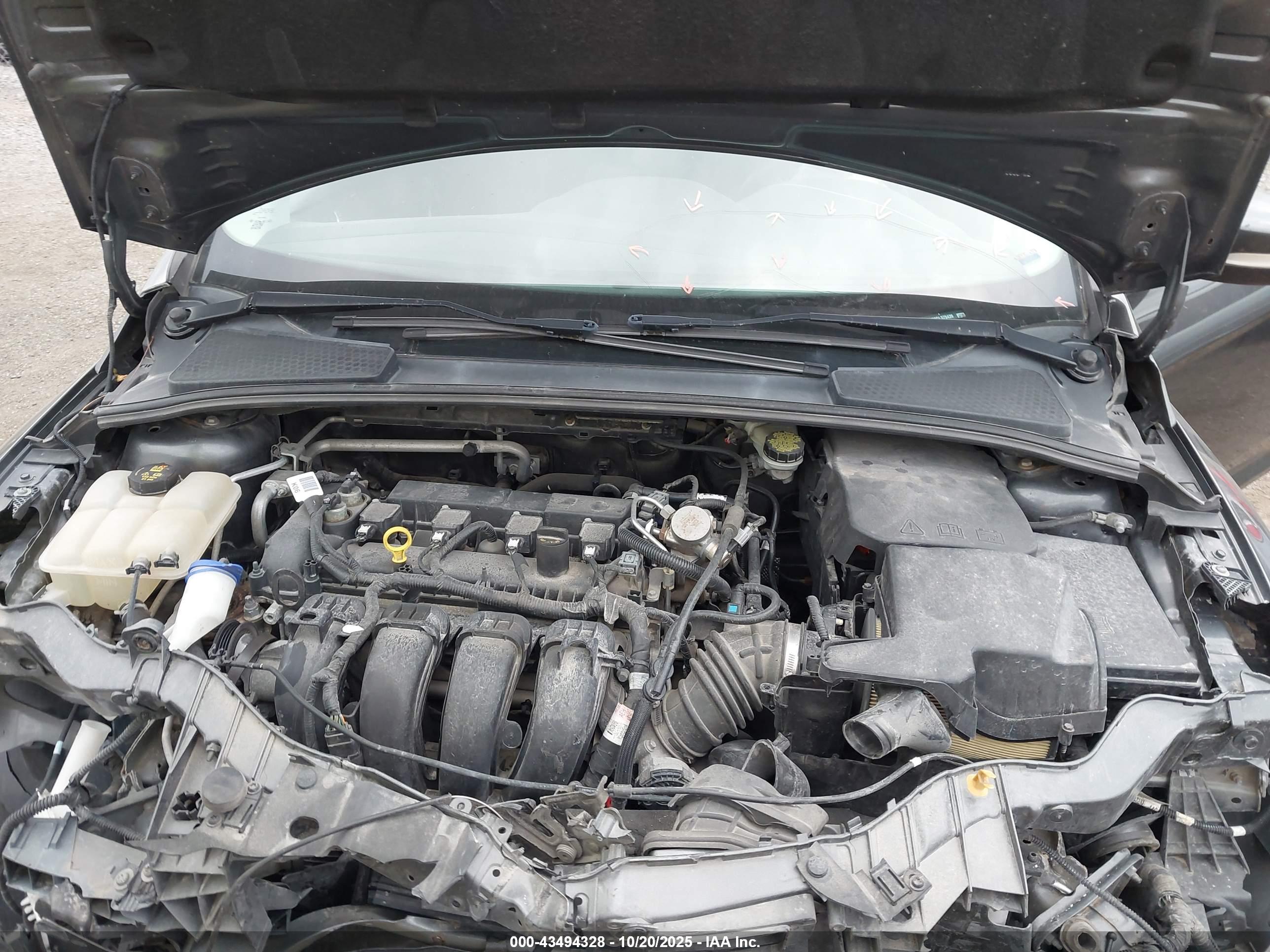 FORD FOCUS image 10