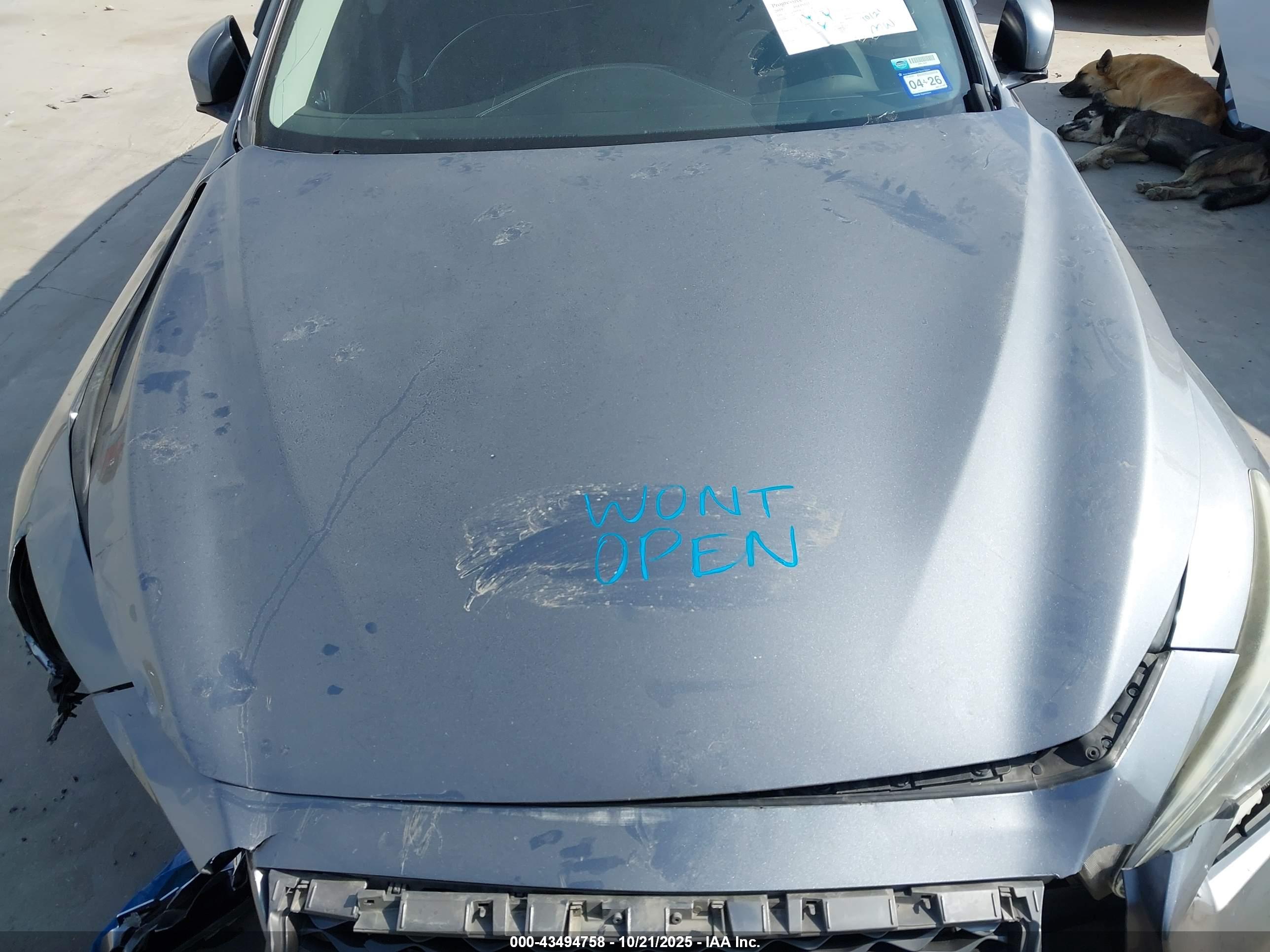 INFINITI Q50 image 10