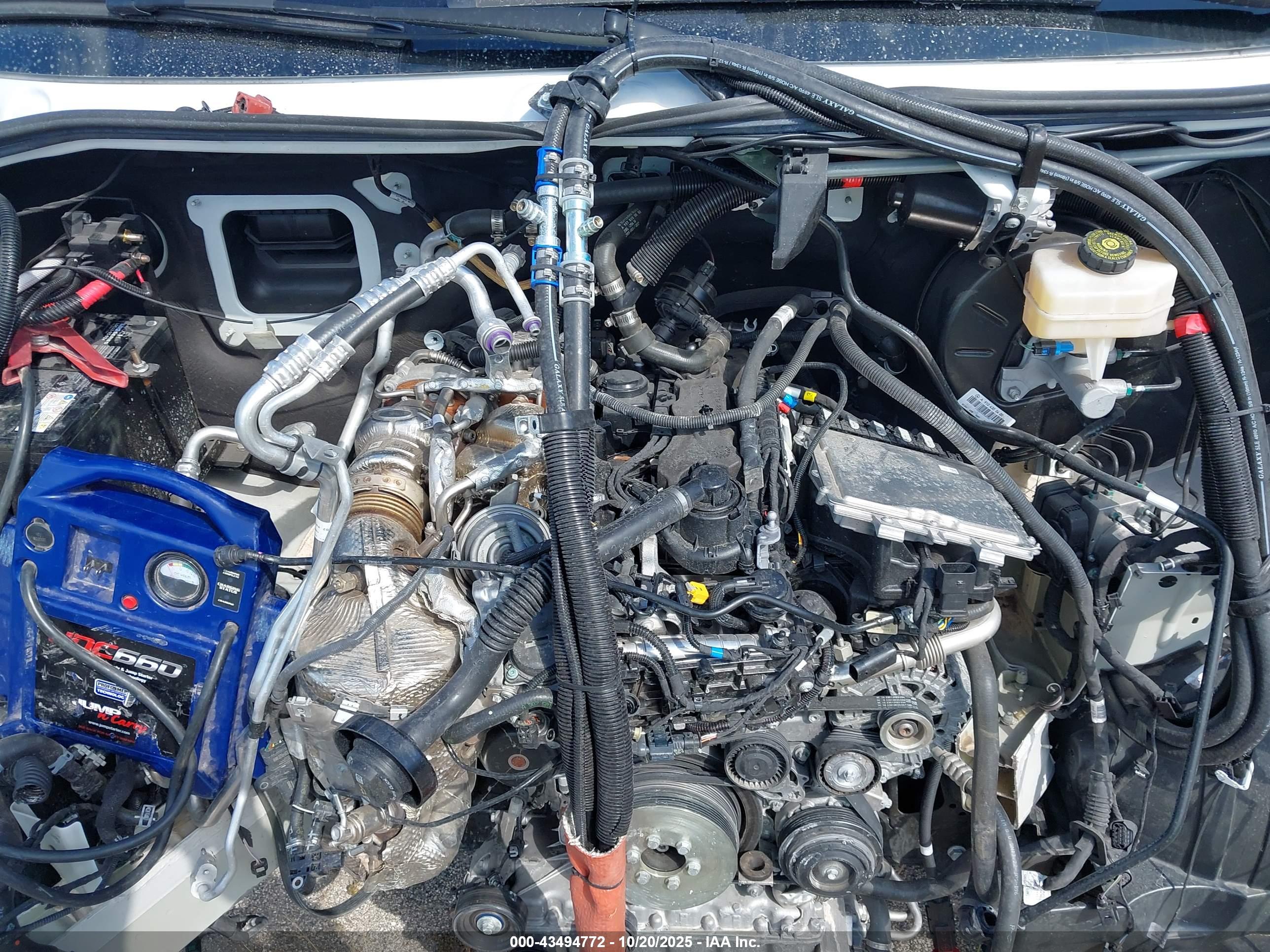 MERCEDES-BENZ SPRINTER image 10