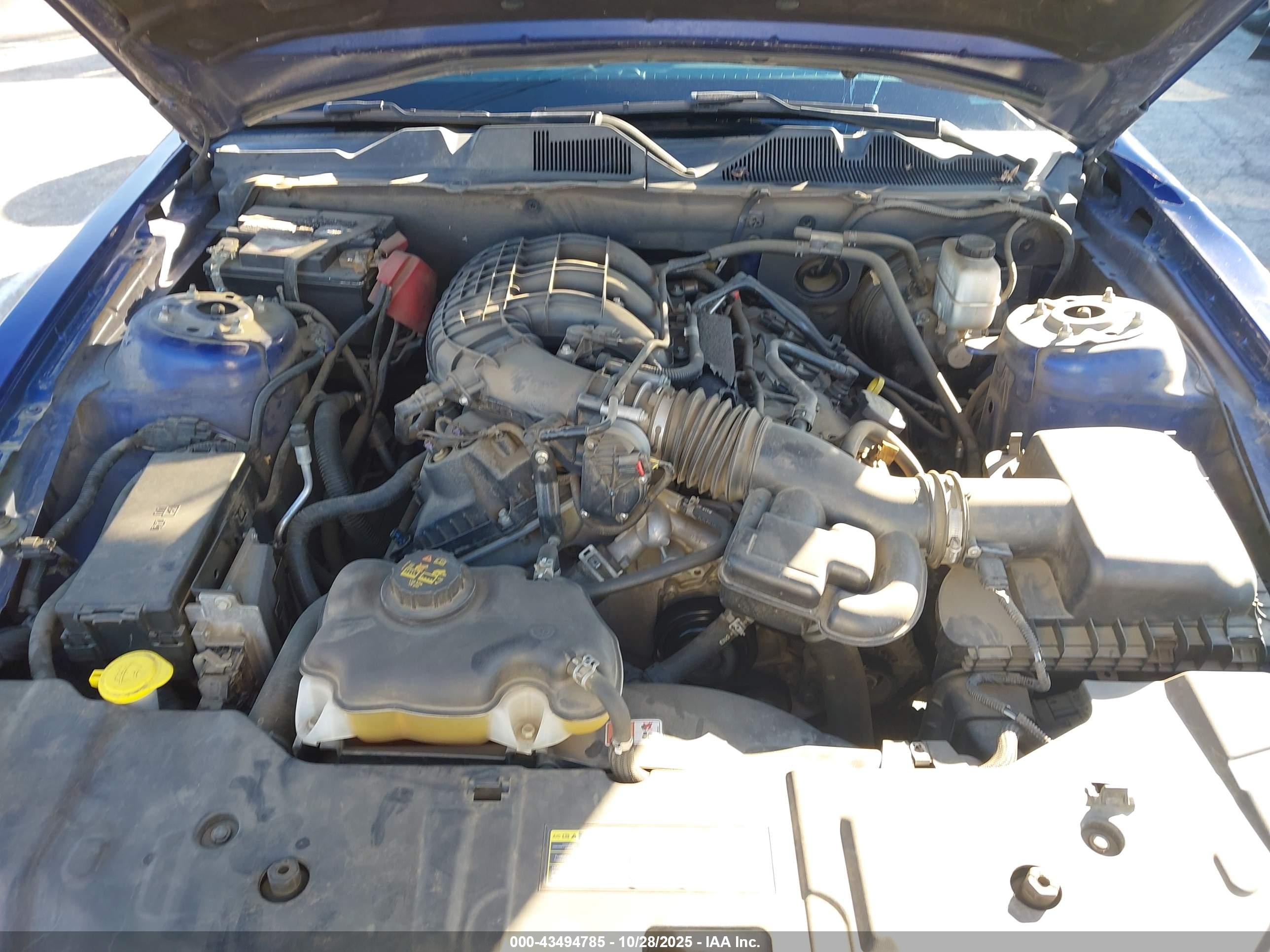 FORD MUSTANG image 10