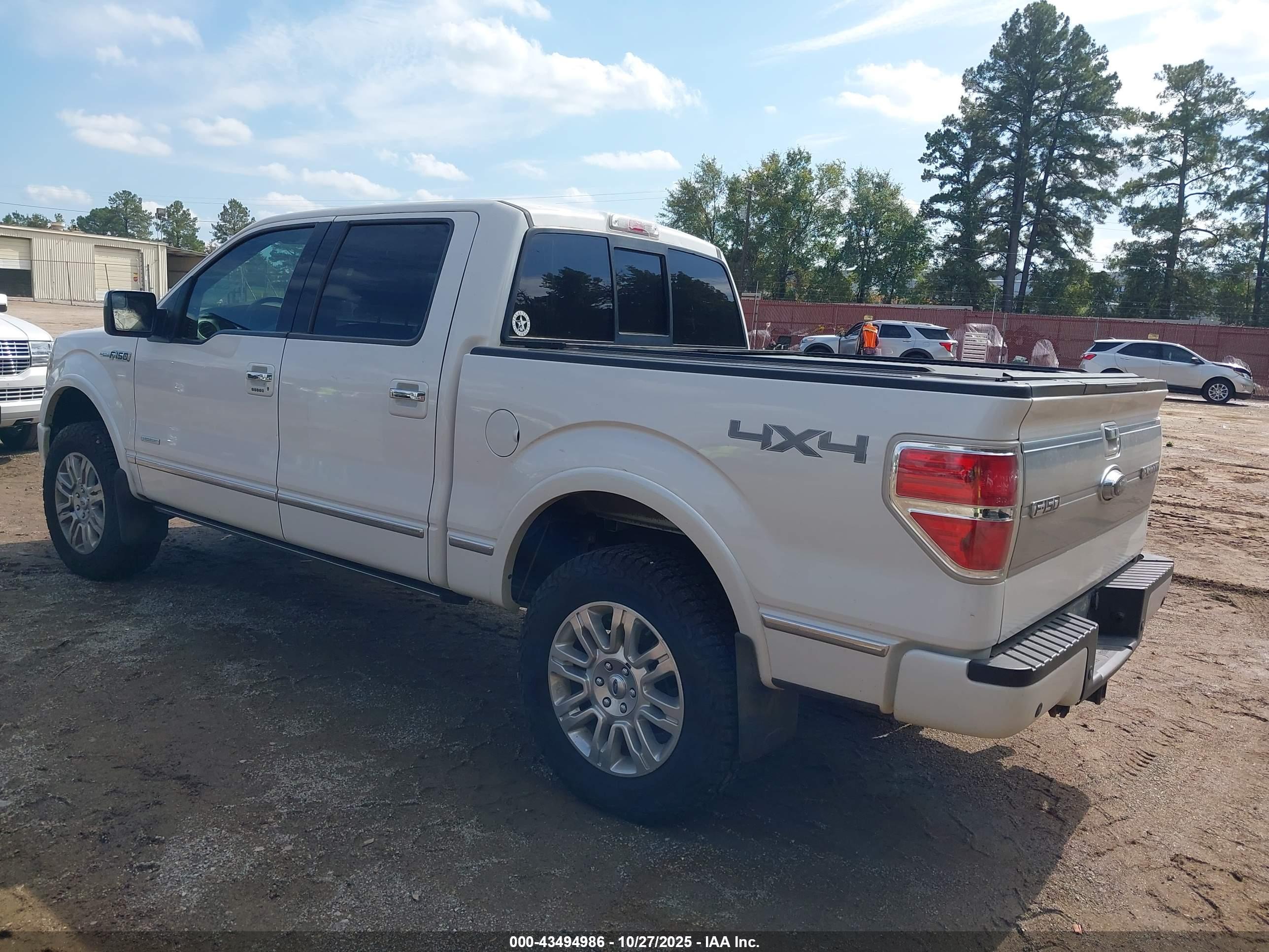 FORD F-150 image 3