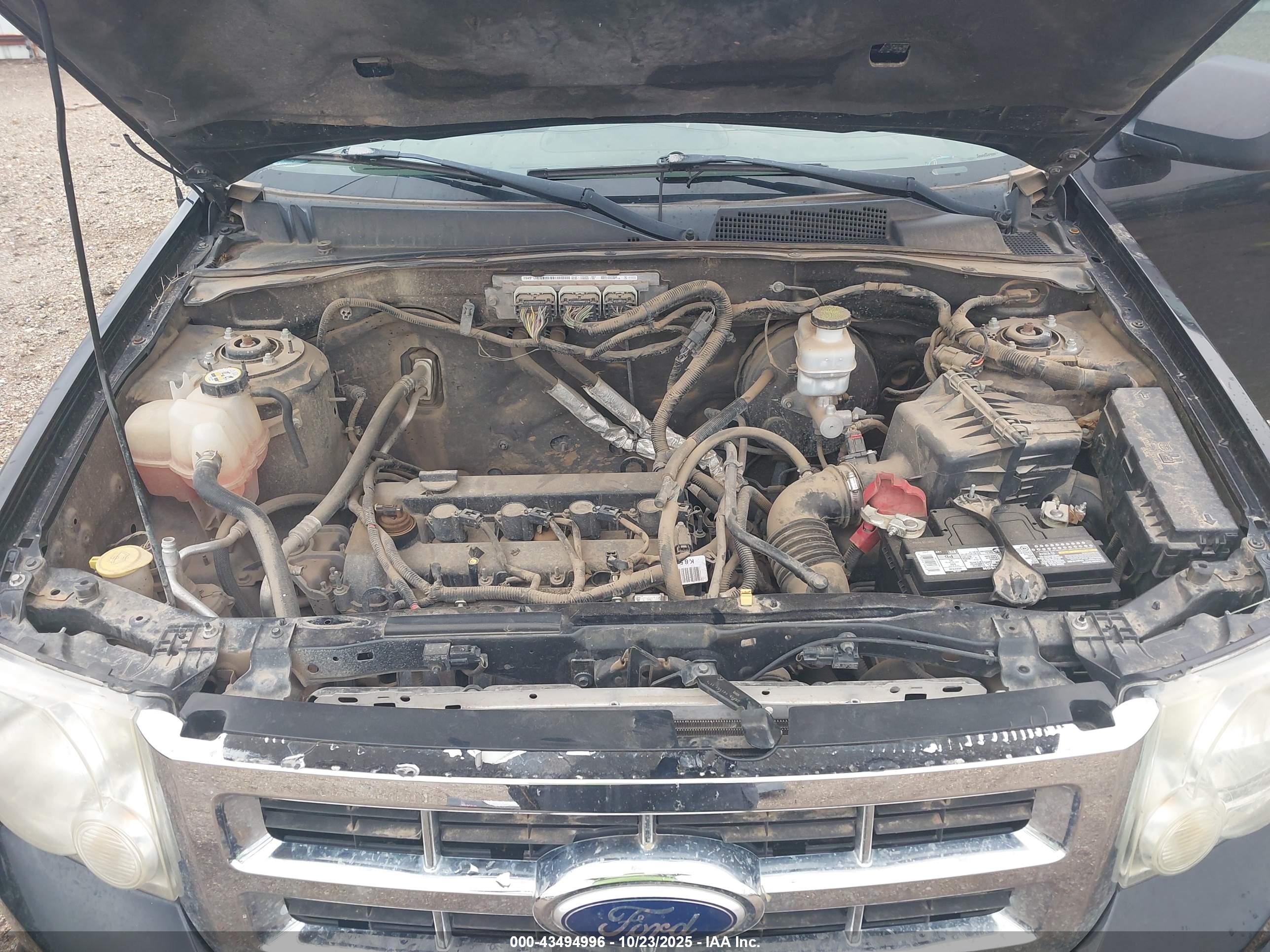 FORD ESCAPE image 10