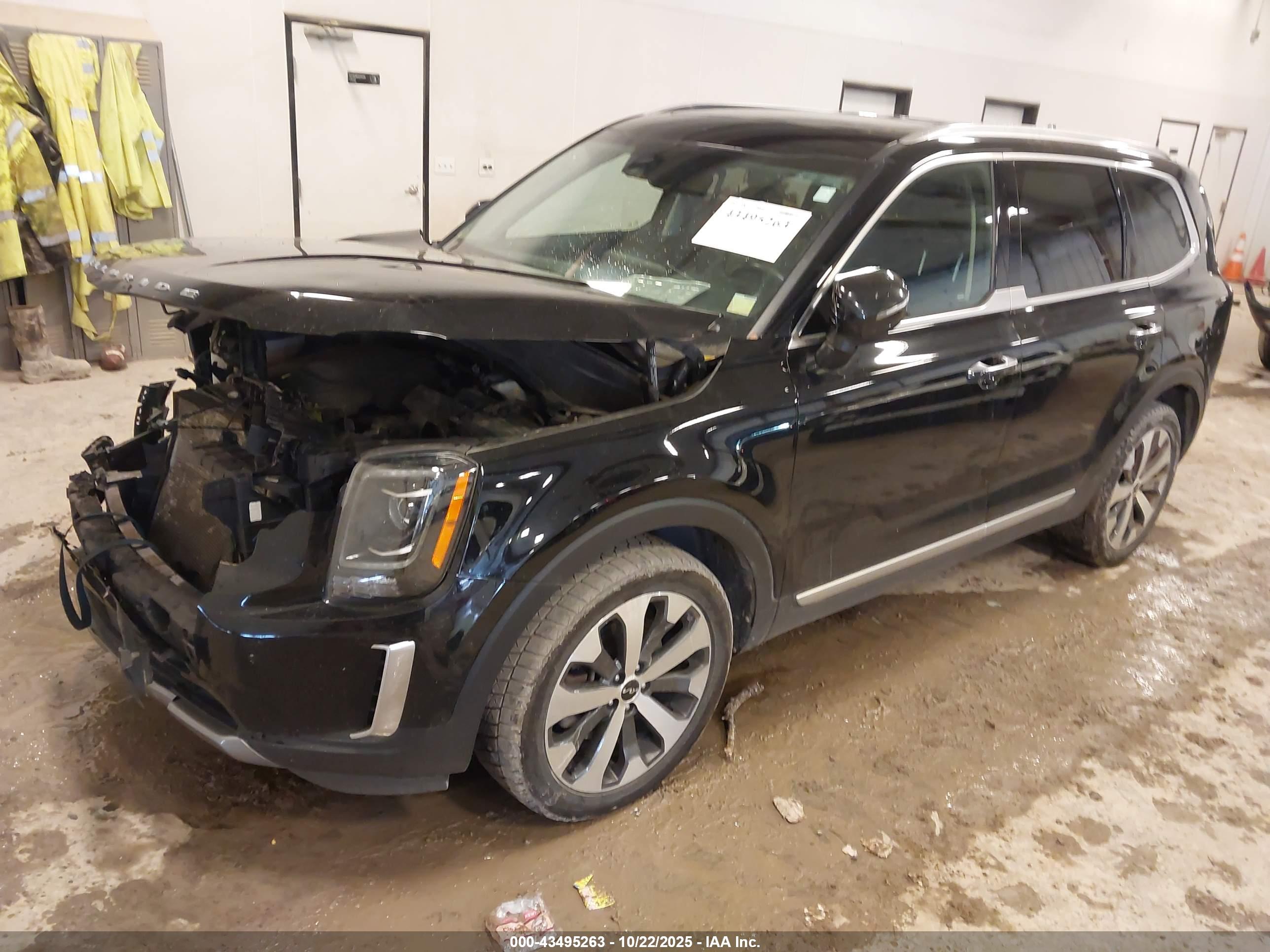 KIA TELLURIDE image 2