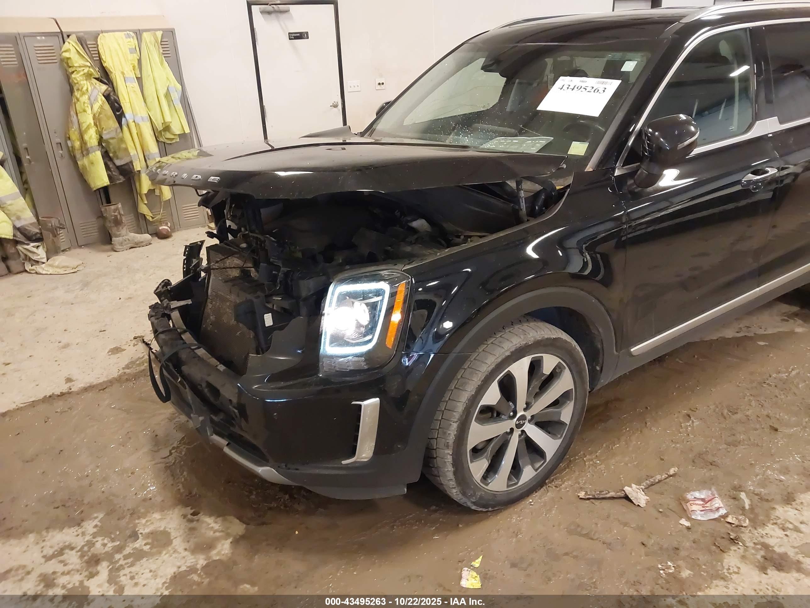 KIA TELLURIDE image 6
