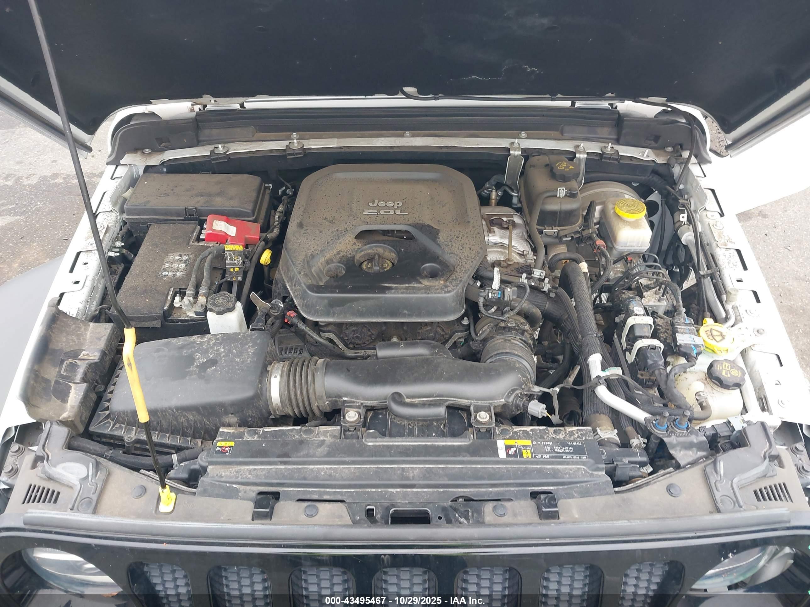 JEEP WRANGLER image 10
