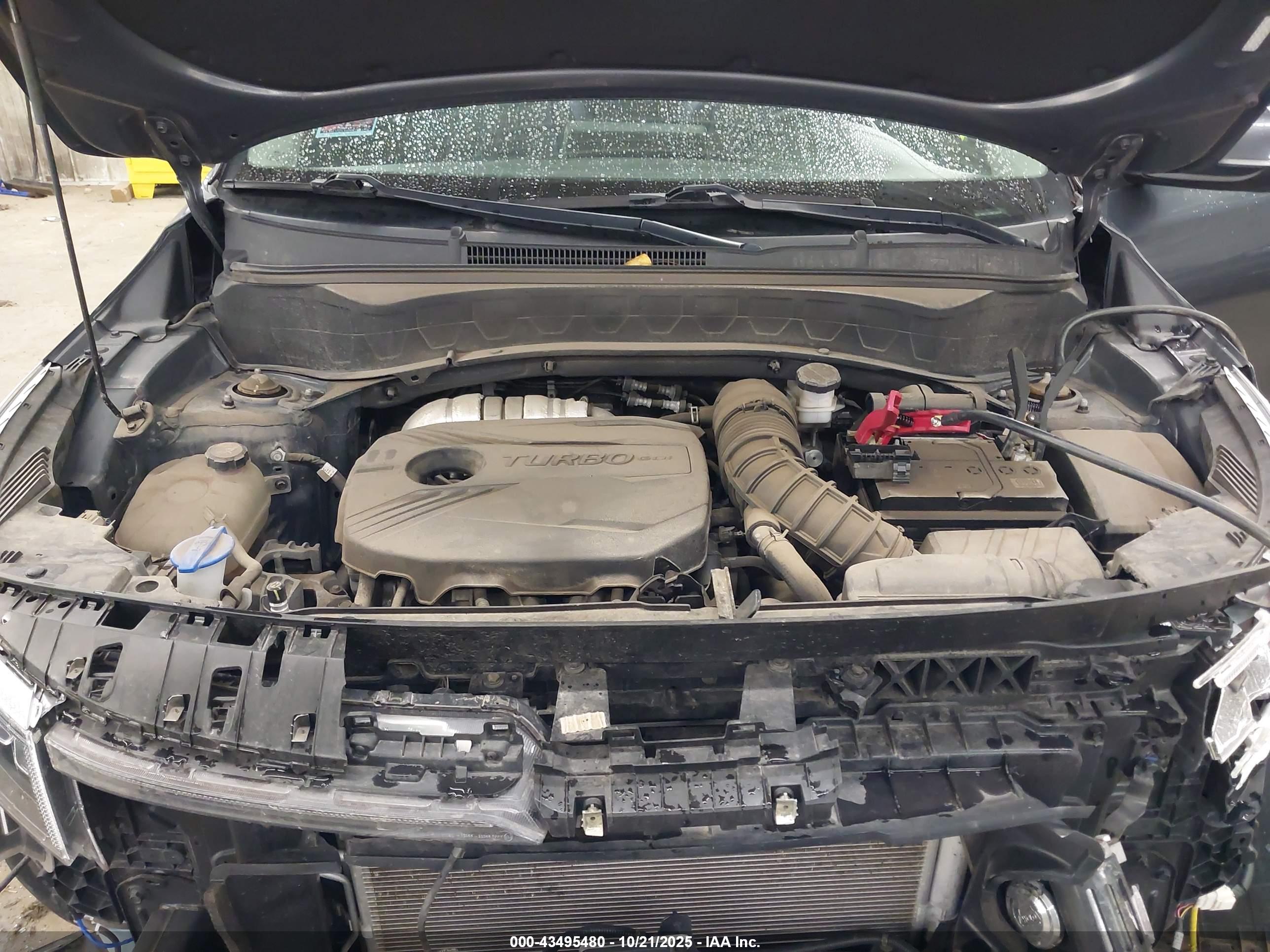 KIA SELTOS image 10