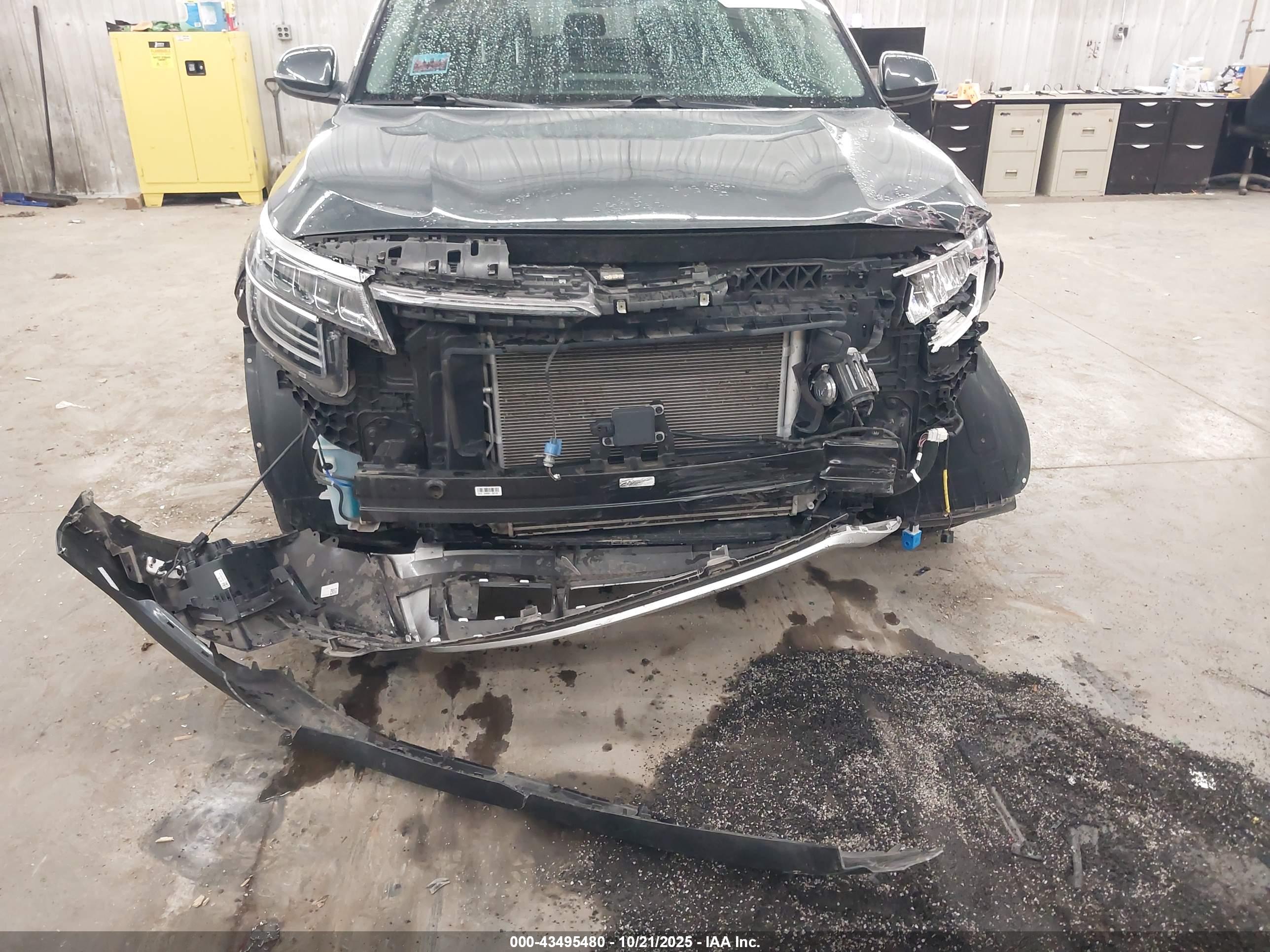 KIA SELTOS image 6