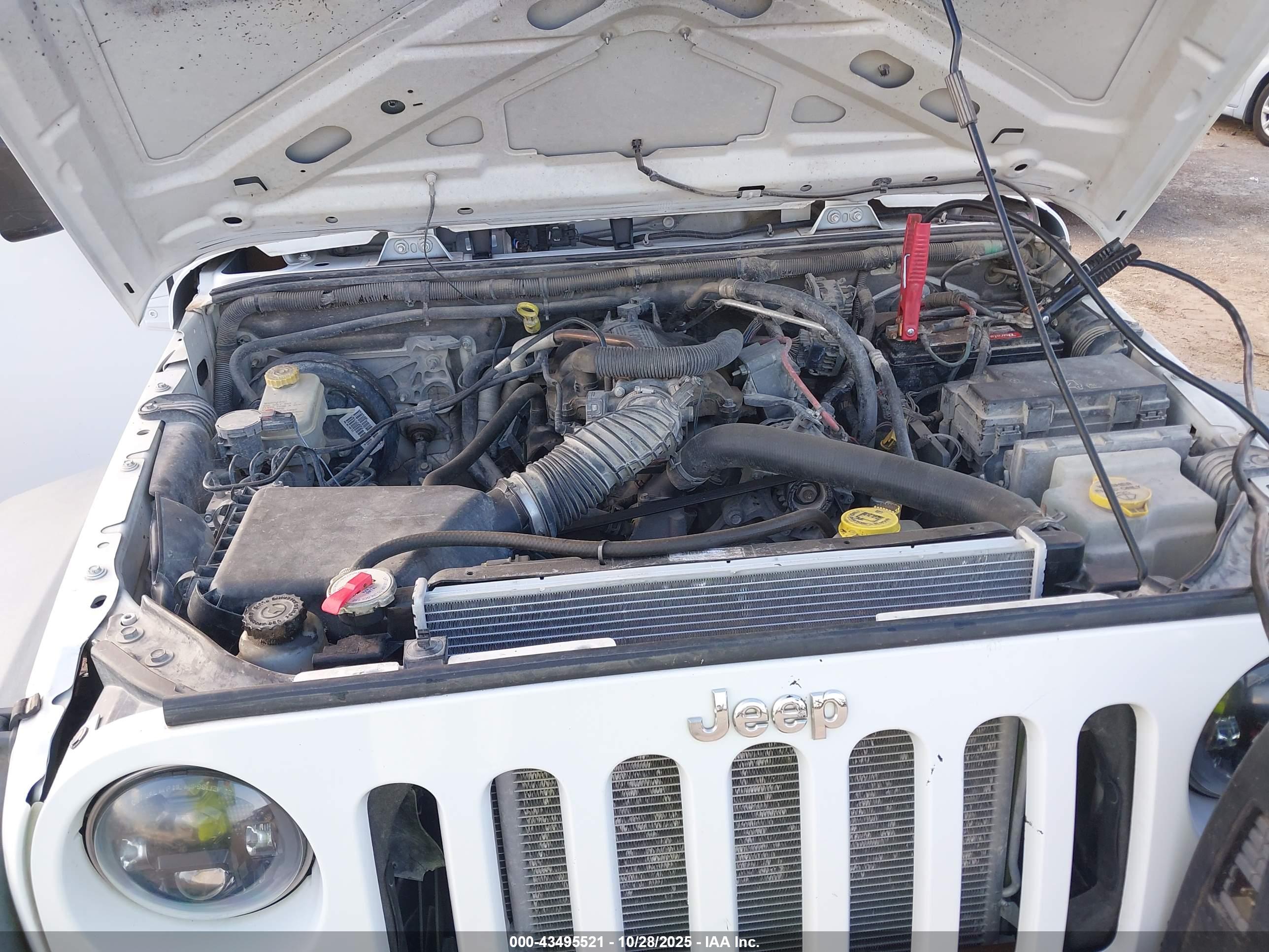 JEEP WRANGLER image 10