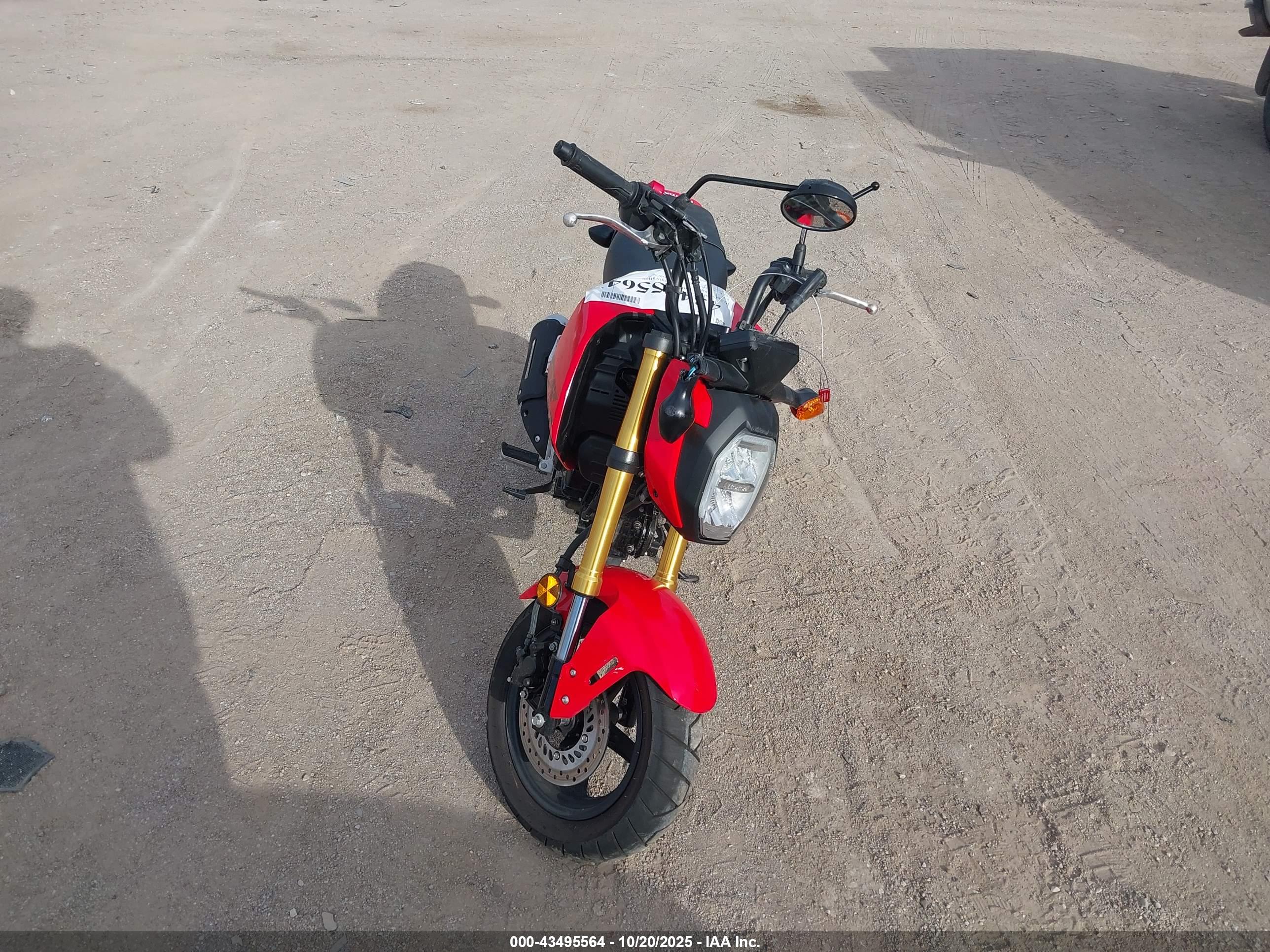 HONDA GROM image 5