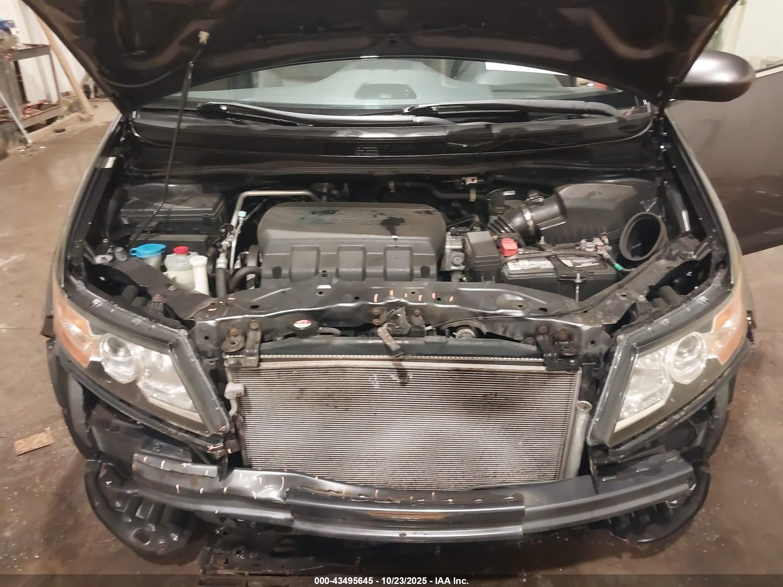 HONDA ODYSSEY image 10