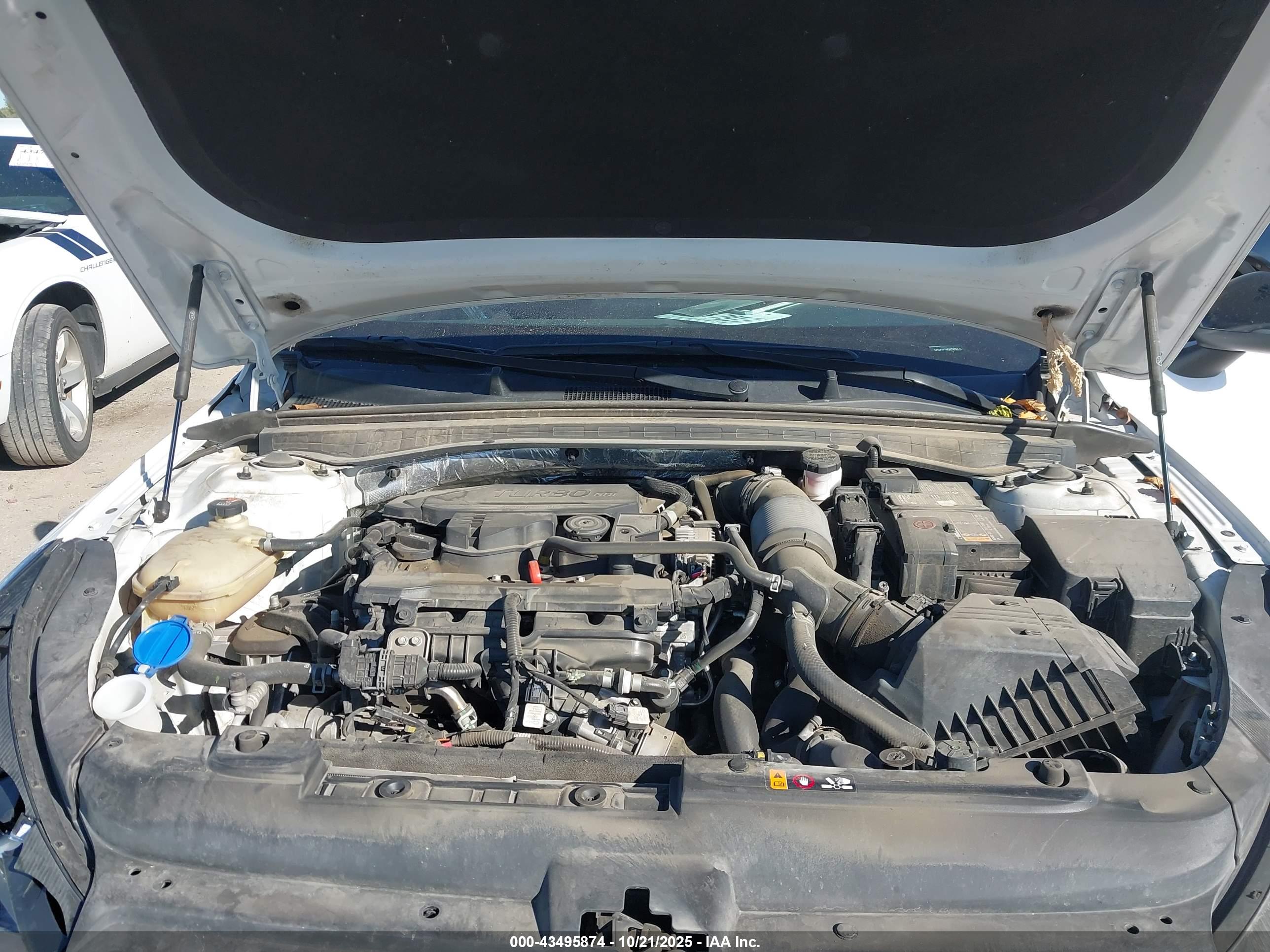 KIA K5 image 10