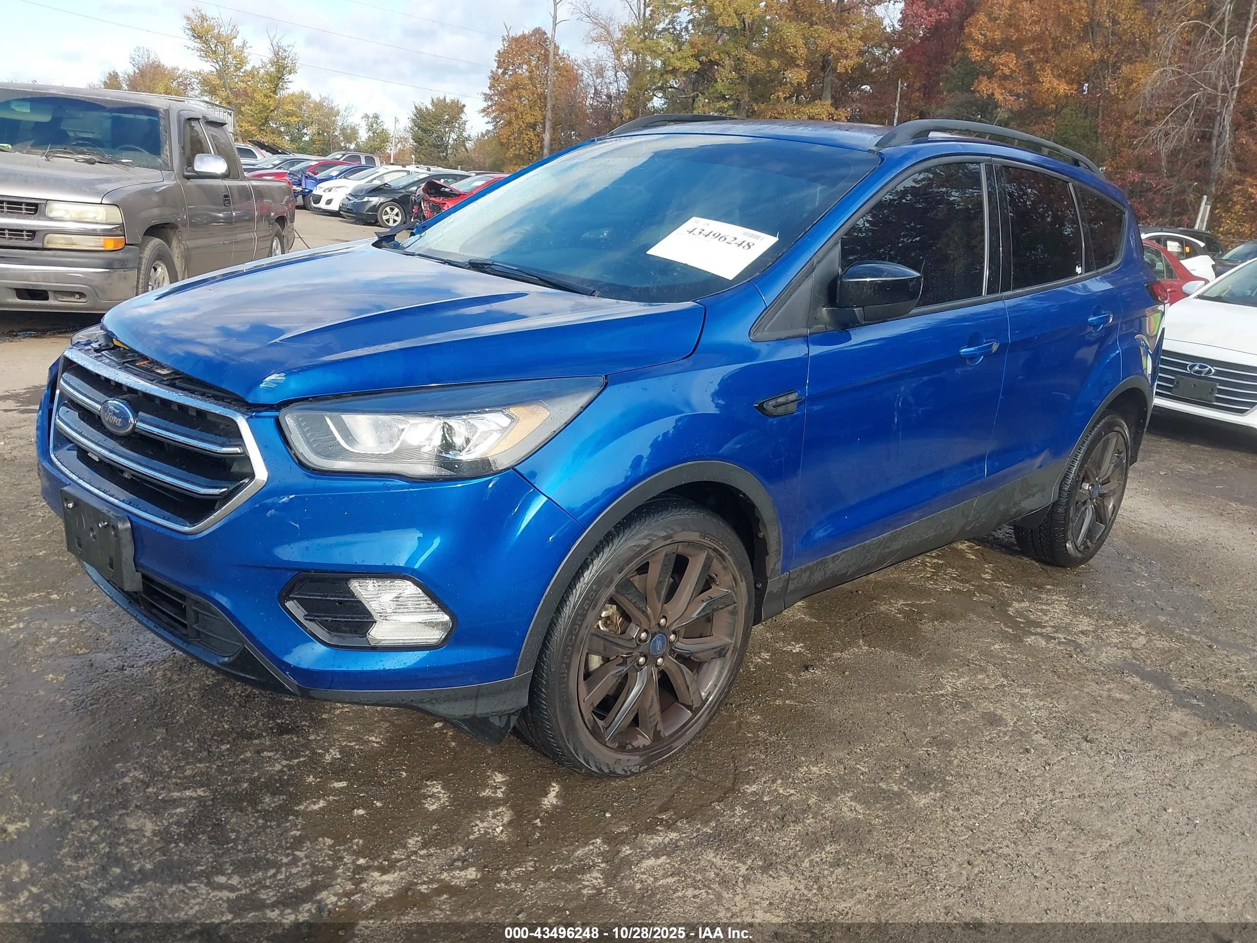FORD ESCAPE image 2
