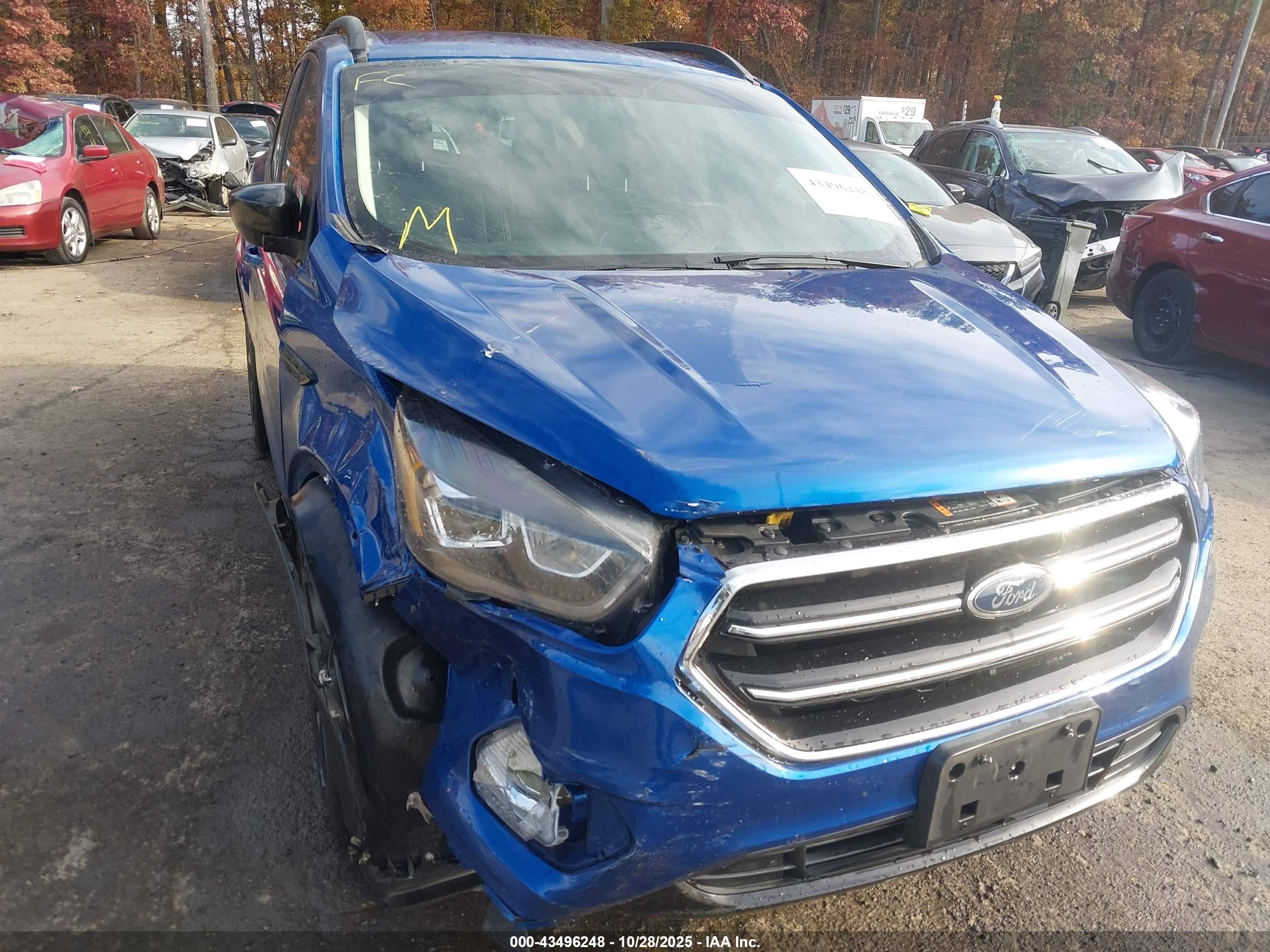 FORD ESCAPE image 6