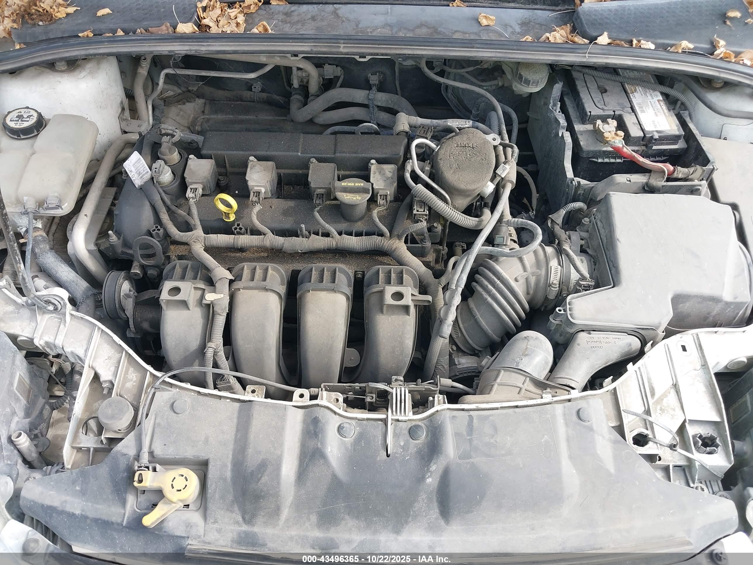 FORD FOCUS image 10
