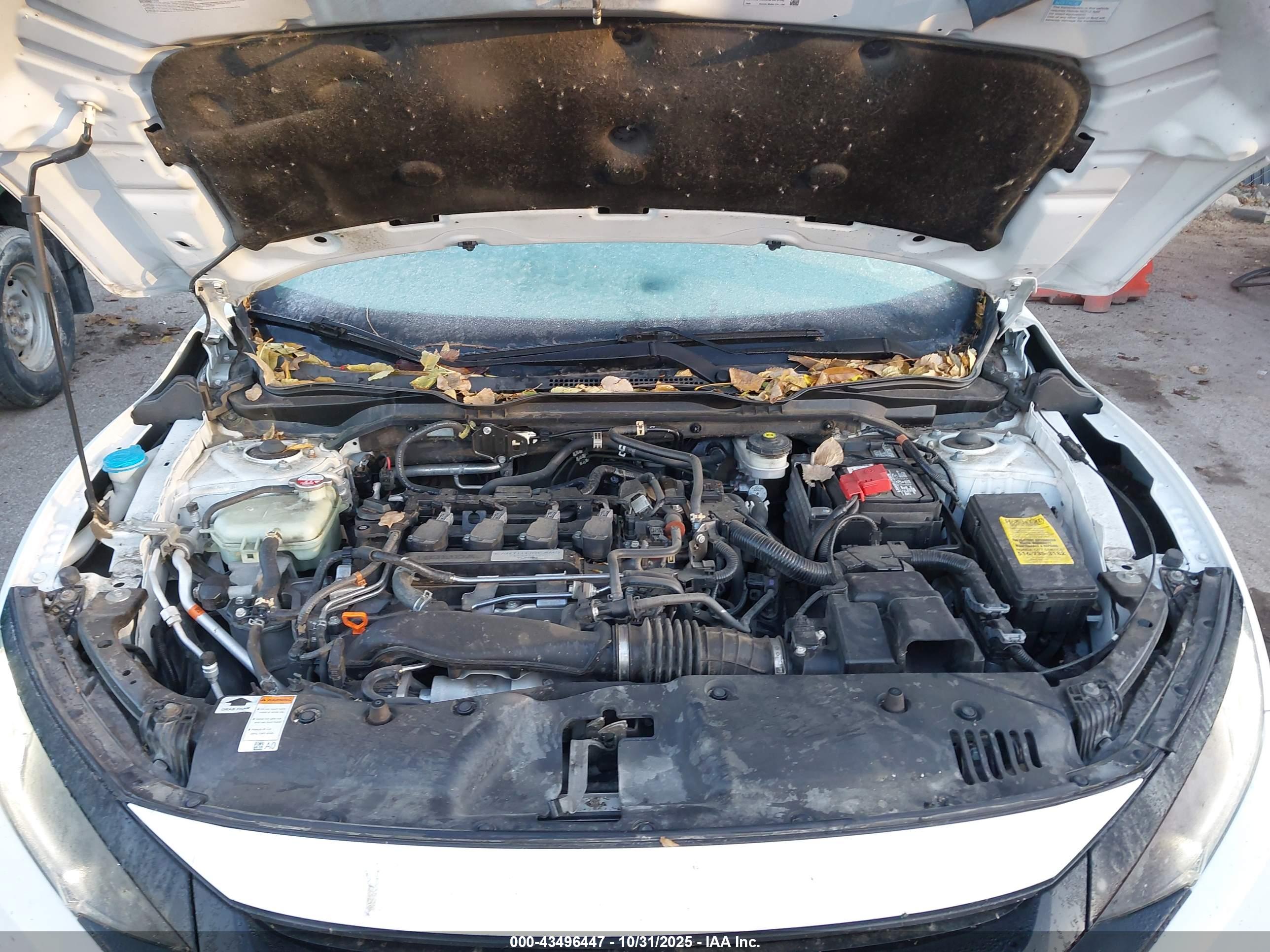 HONDA CIVIC image 10