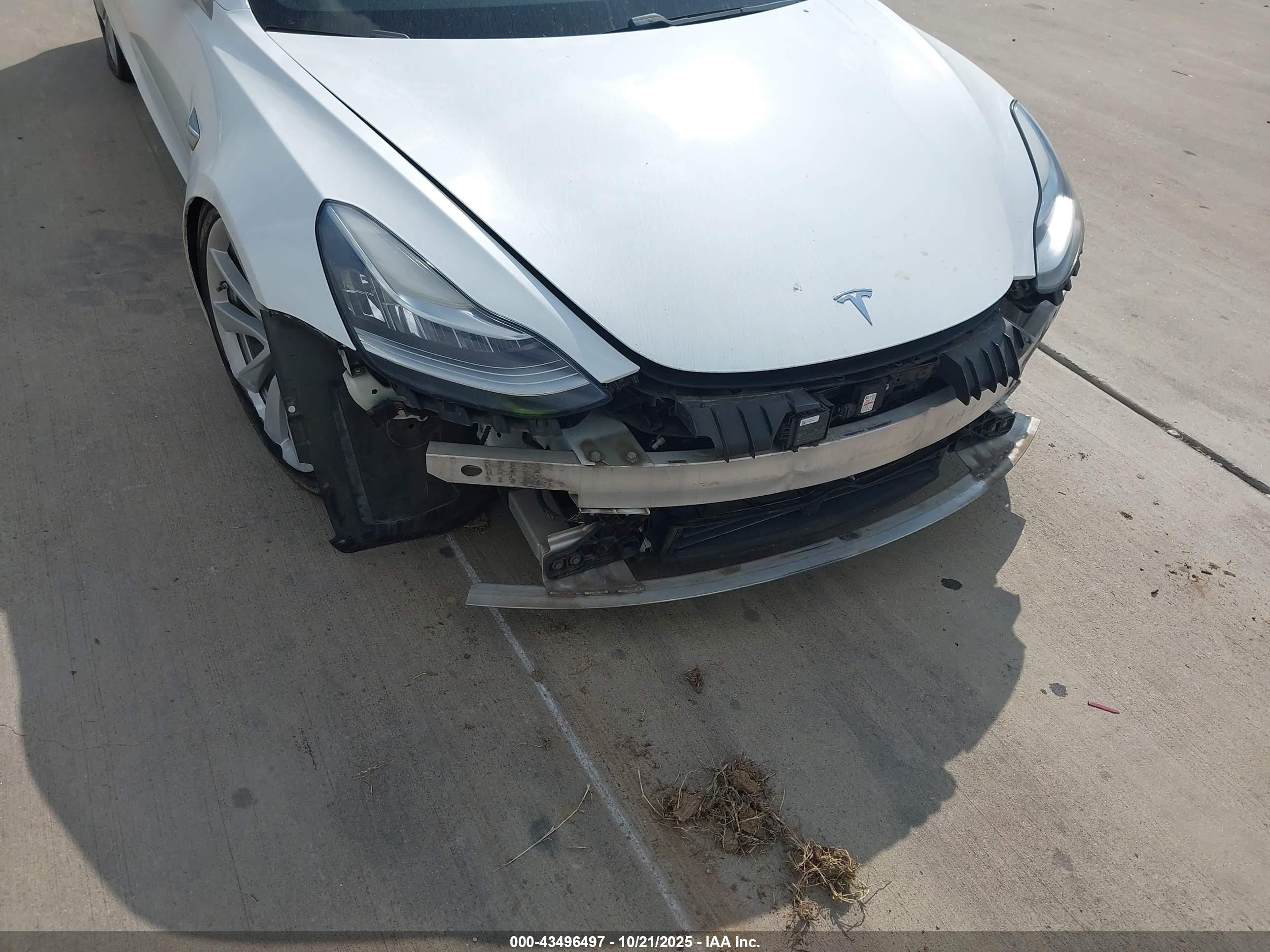 TESLA MODEL image 6