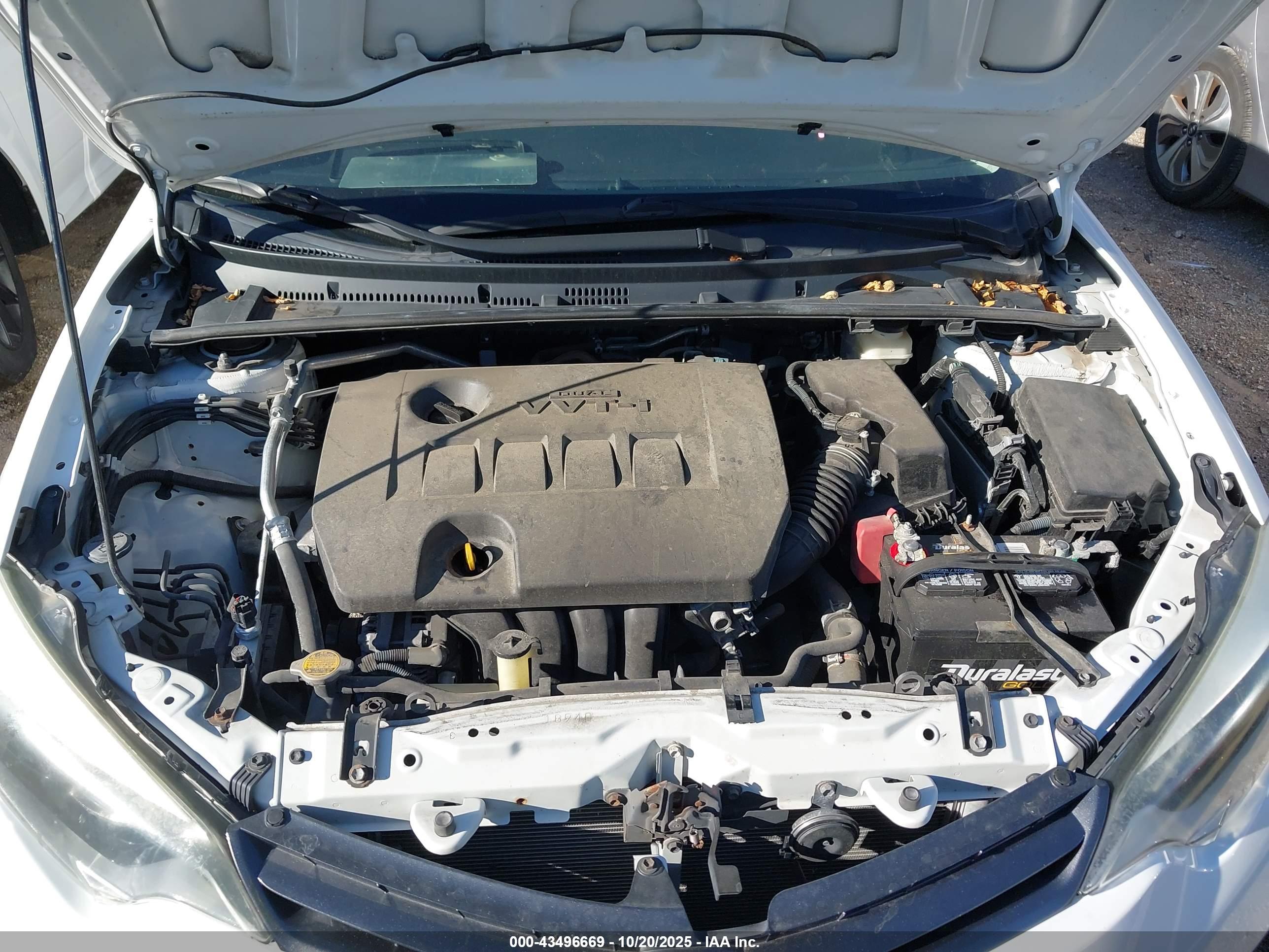 TOYOTA COROLLA image 10