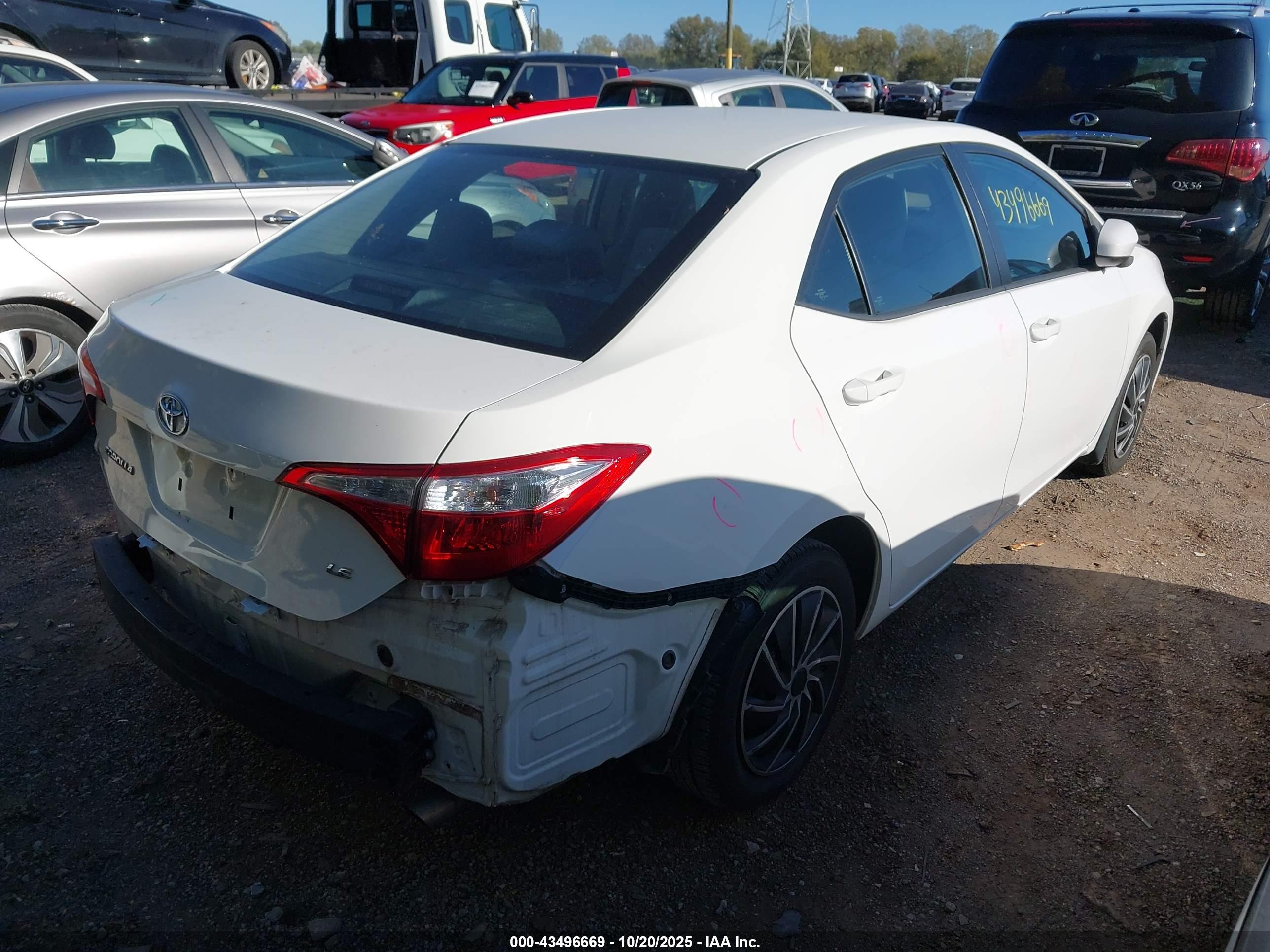 TOYOTA COROLLA image 4