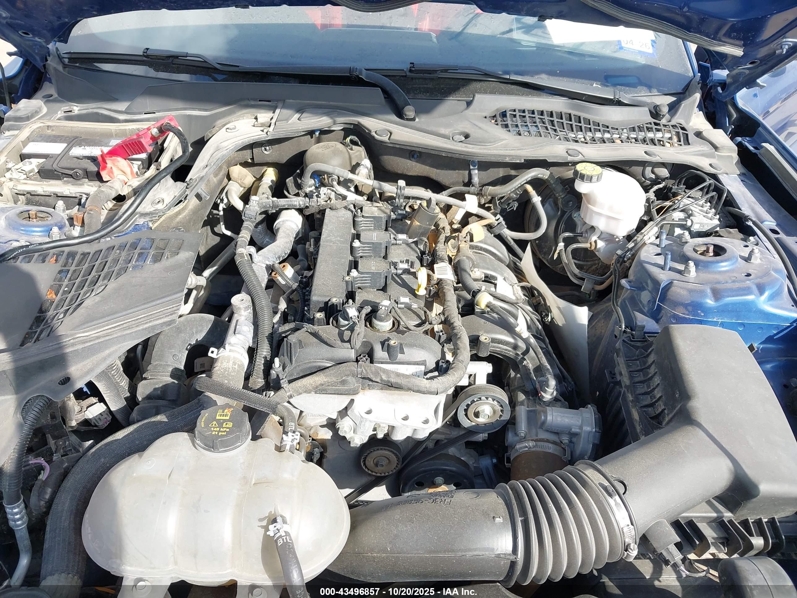 FORD MUSTANG image 10