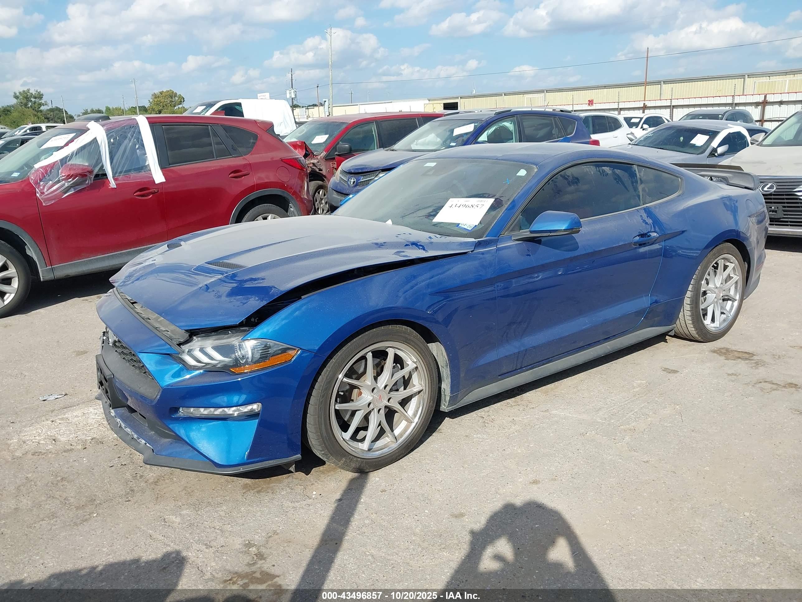 FORD MUSTANG image 2