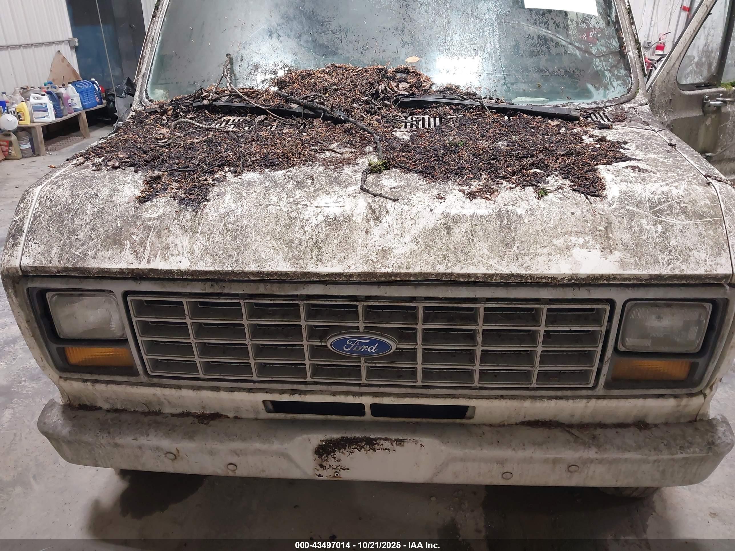 FORD ECONOLINE image 10