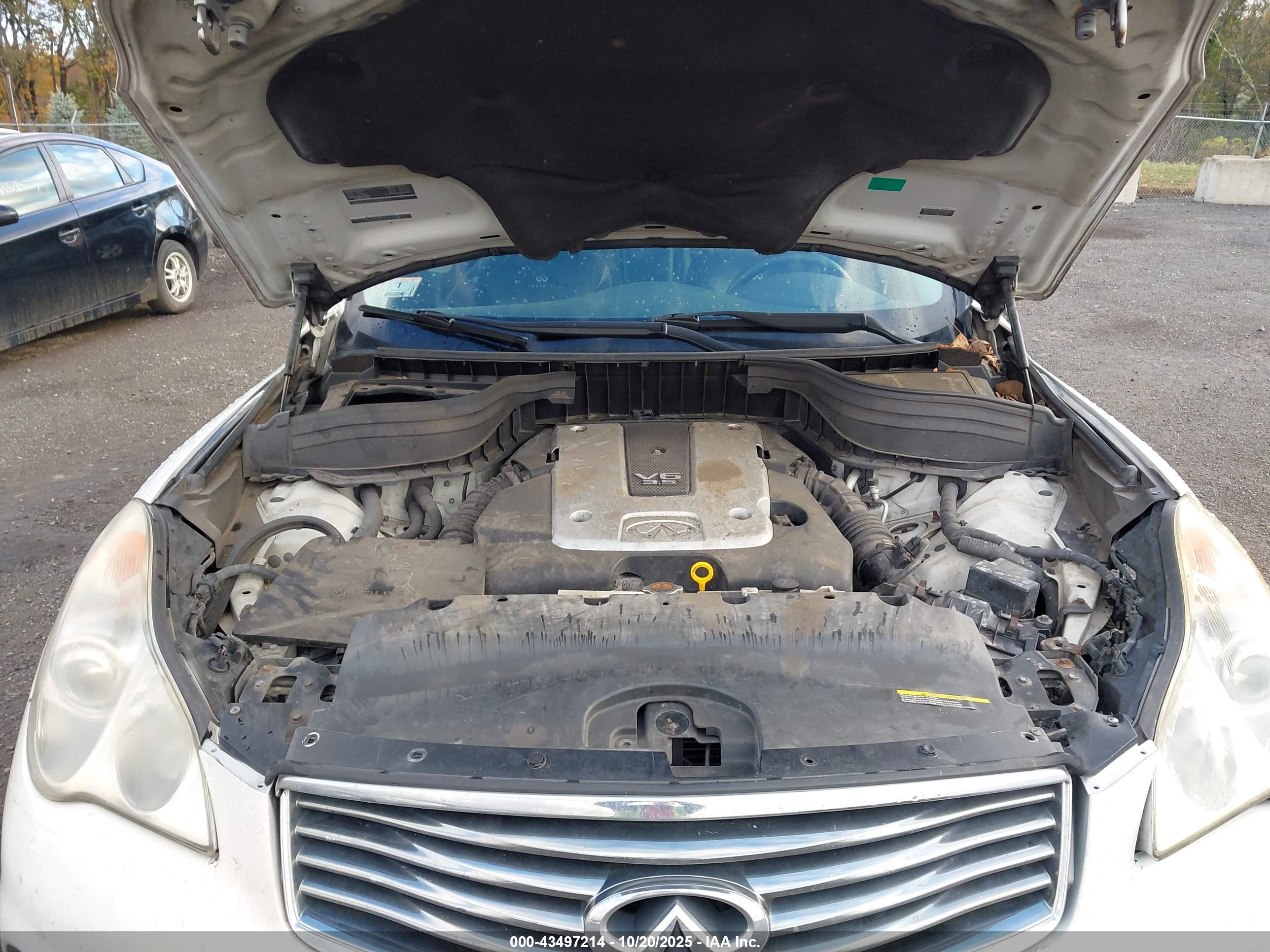 INFINITI EX35 image 10