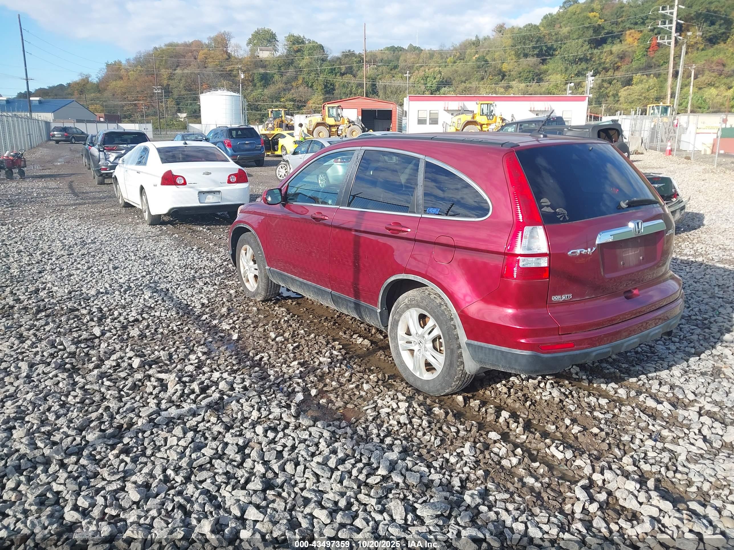 HONDA CR-V image 3