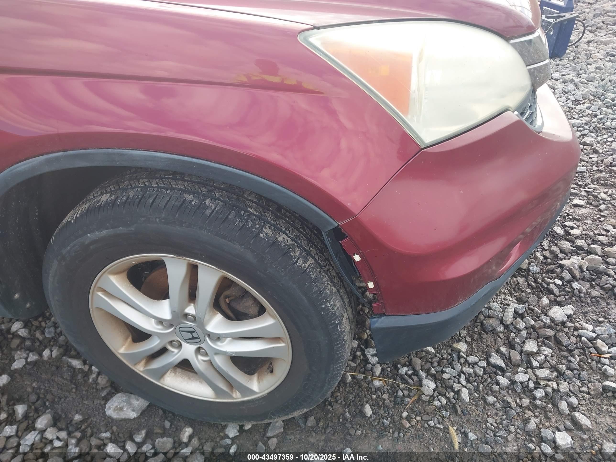 HONDA CR-V image 6