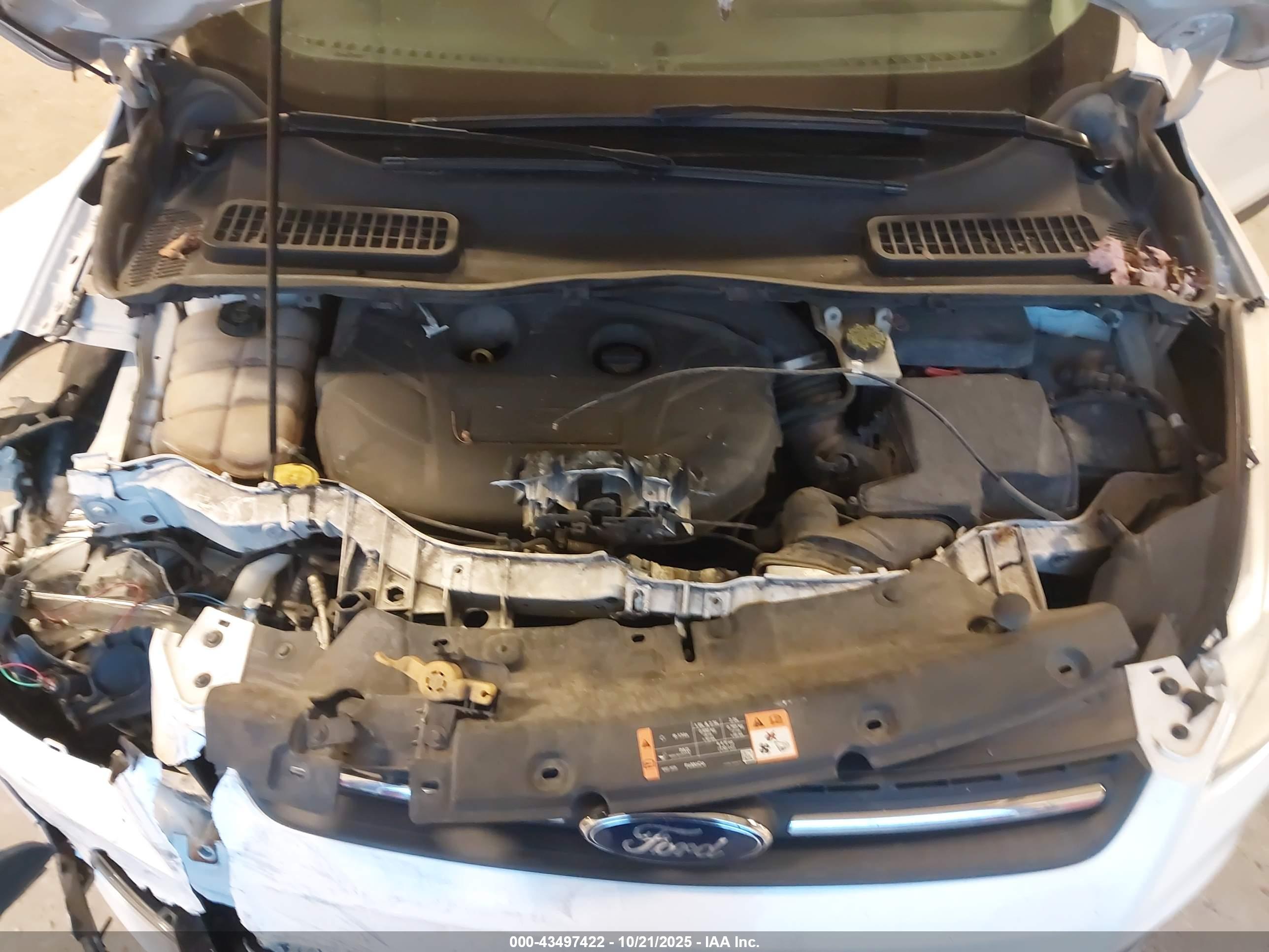 FORD ESCAPE image 10