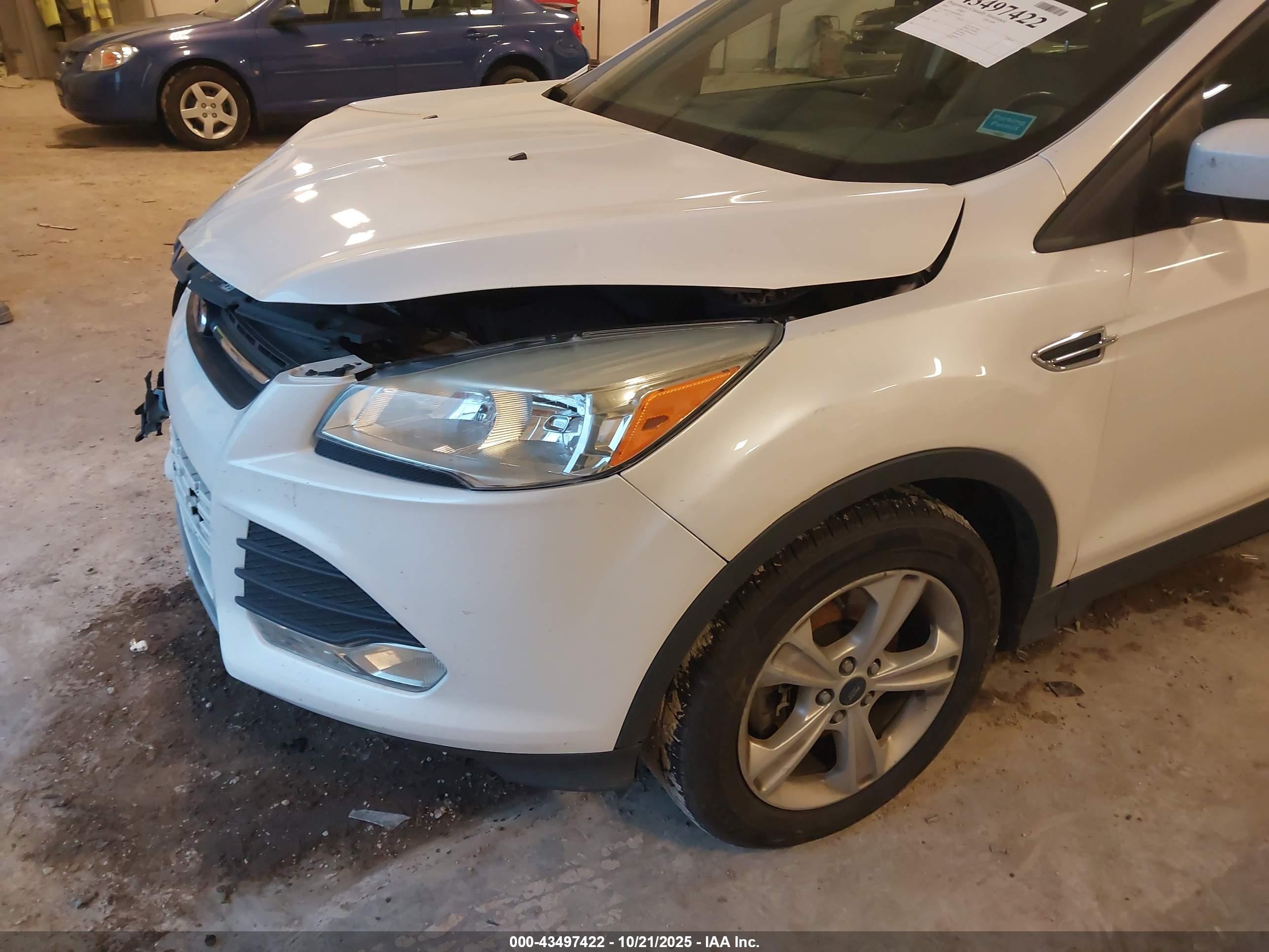 FORD ESCAPE image 6
