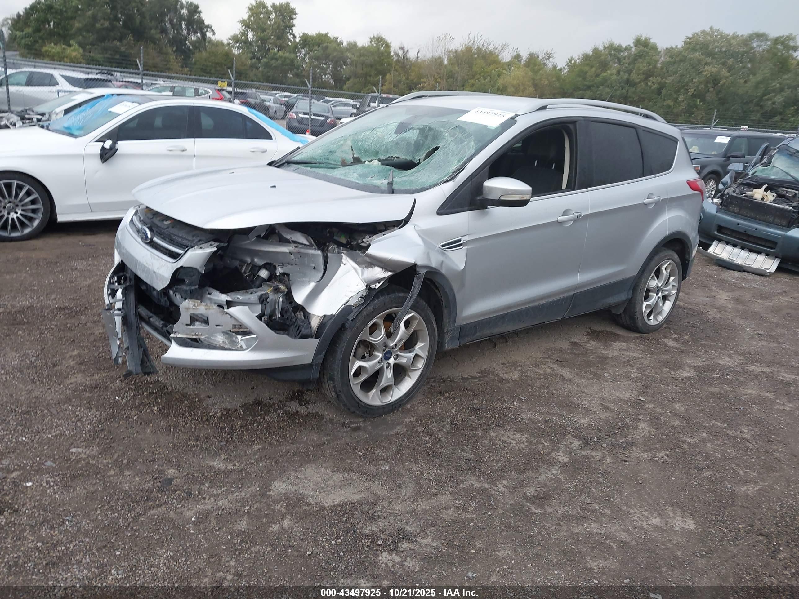 FORD ESCAPE image 2