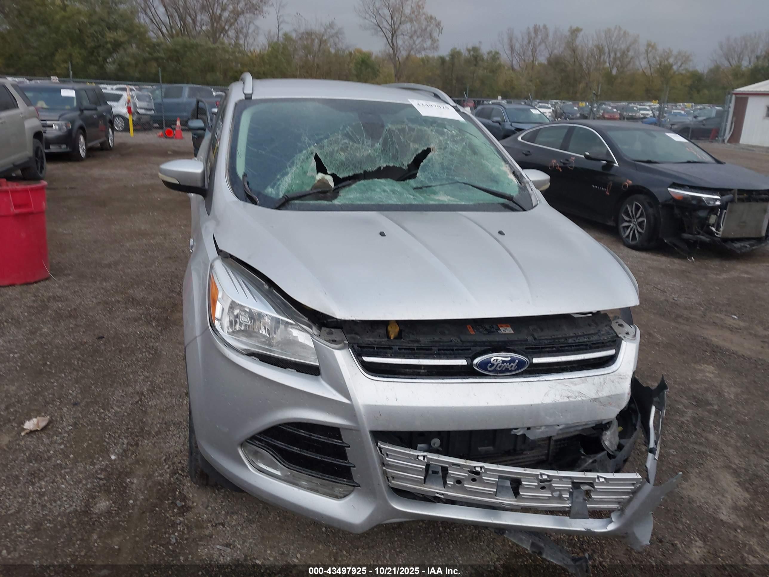 FORD ESCAPE image 6