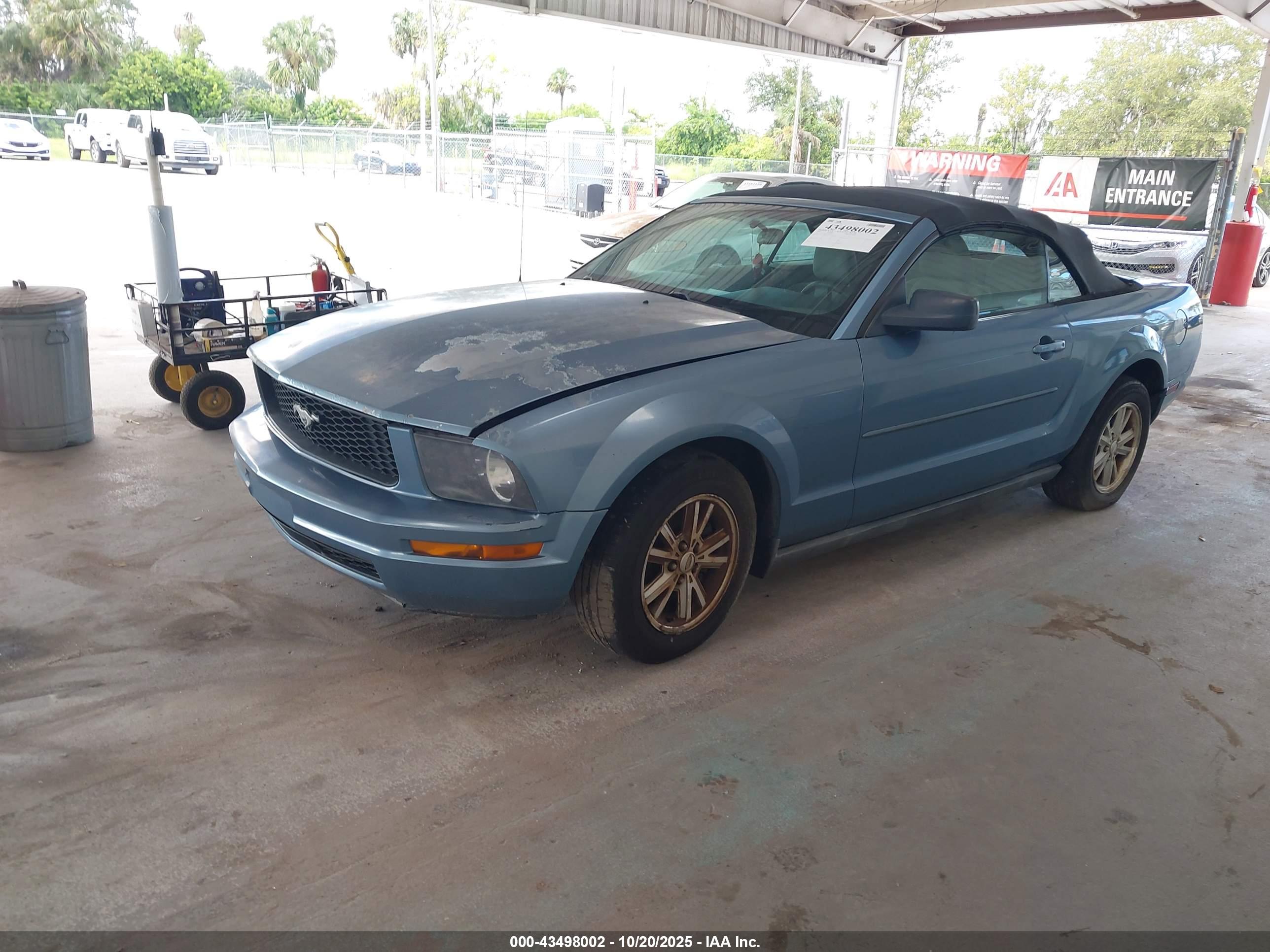 FORD MUSTANG image 2