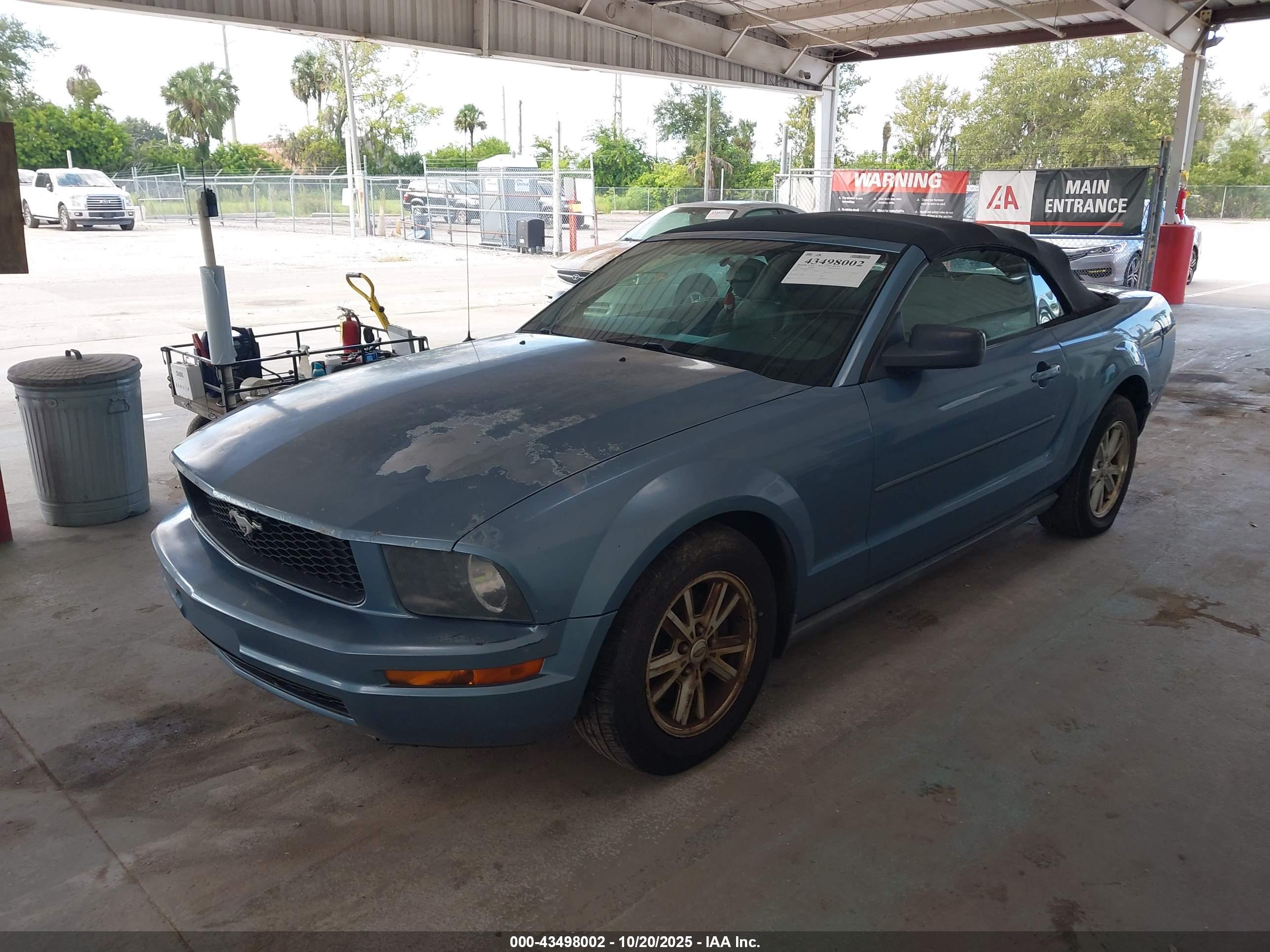 FORD MUSTANG image 6