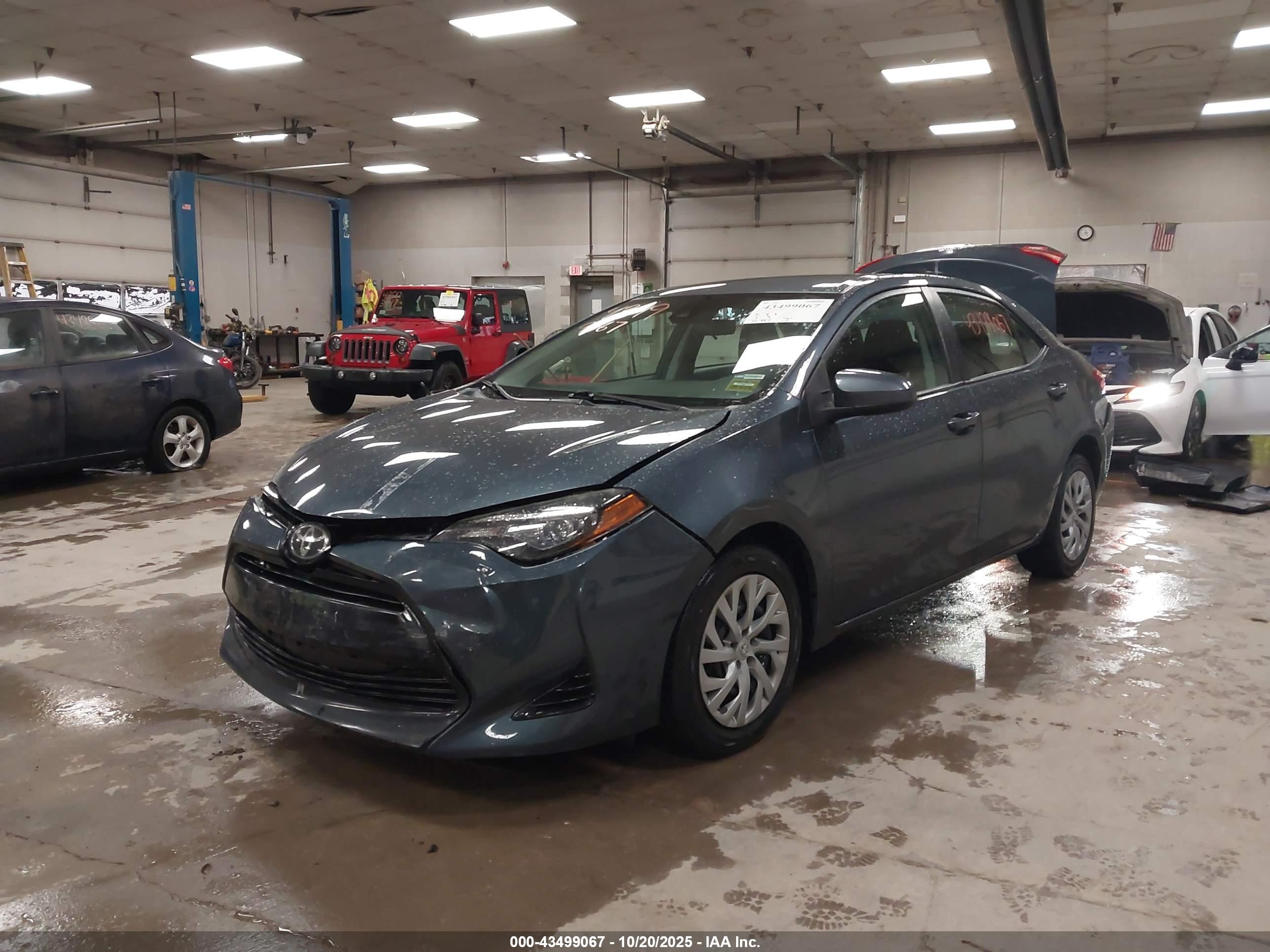 TOYOTA COROLLA image 2