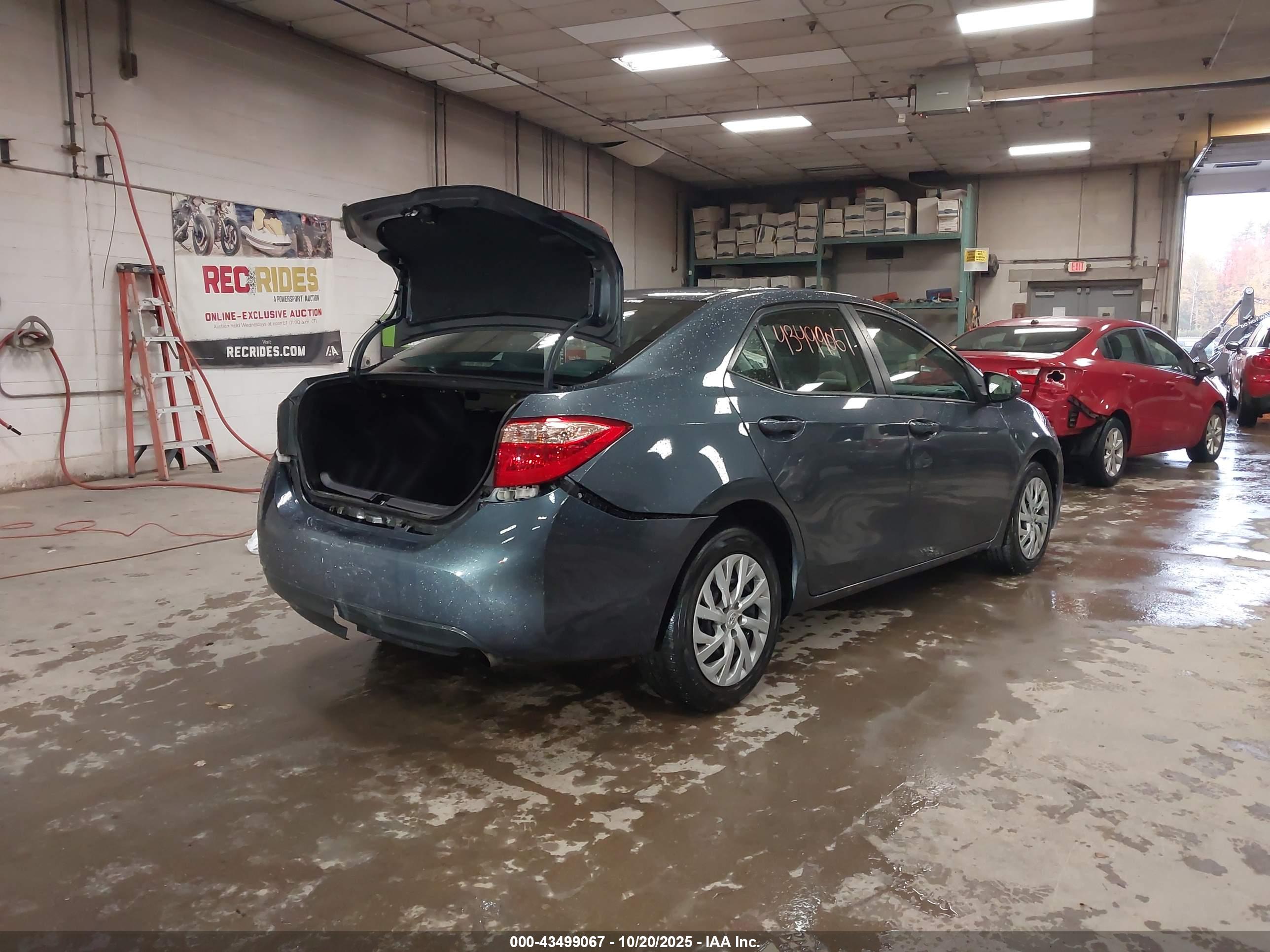 TOYOTA COROLLA image 4