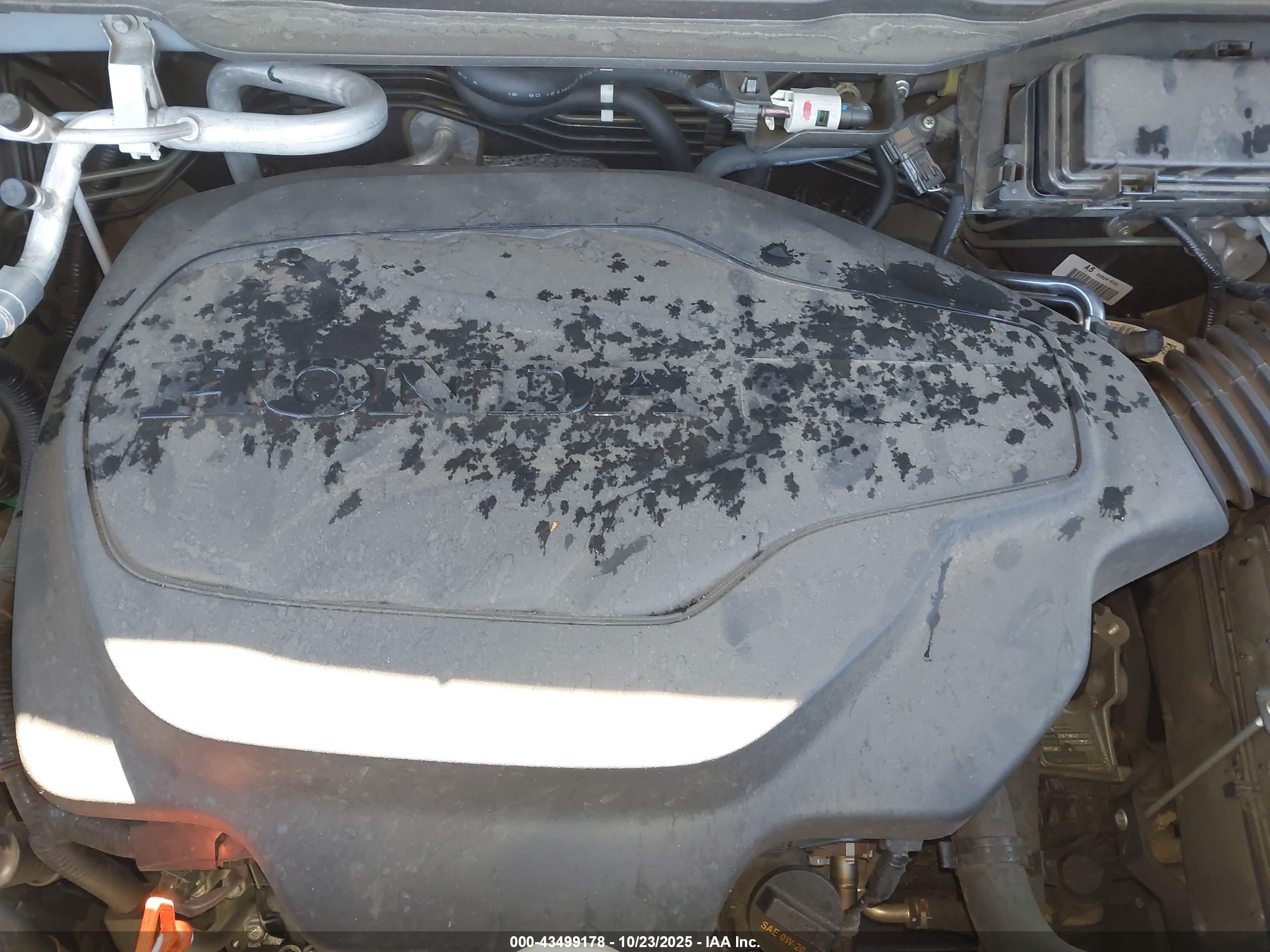 HONDA PILOT image 10