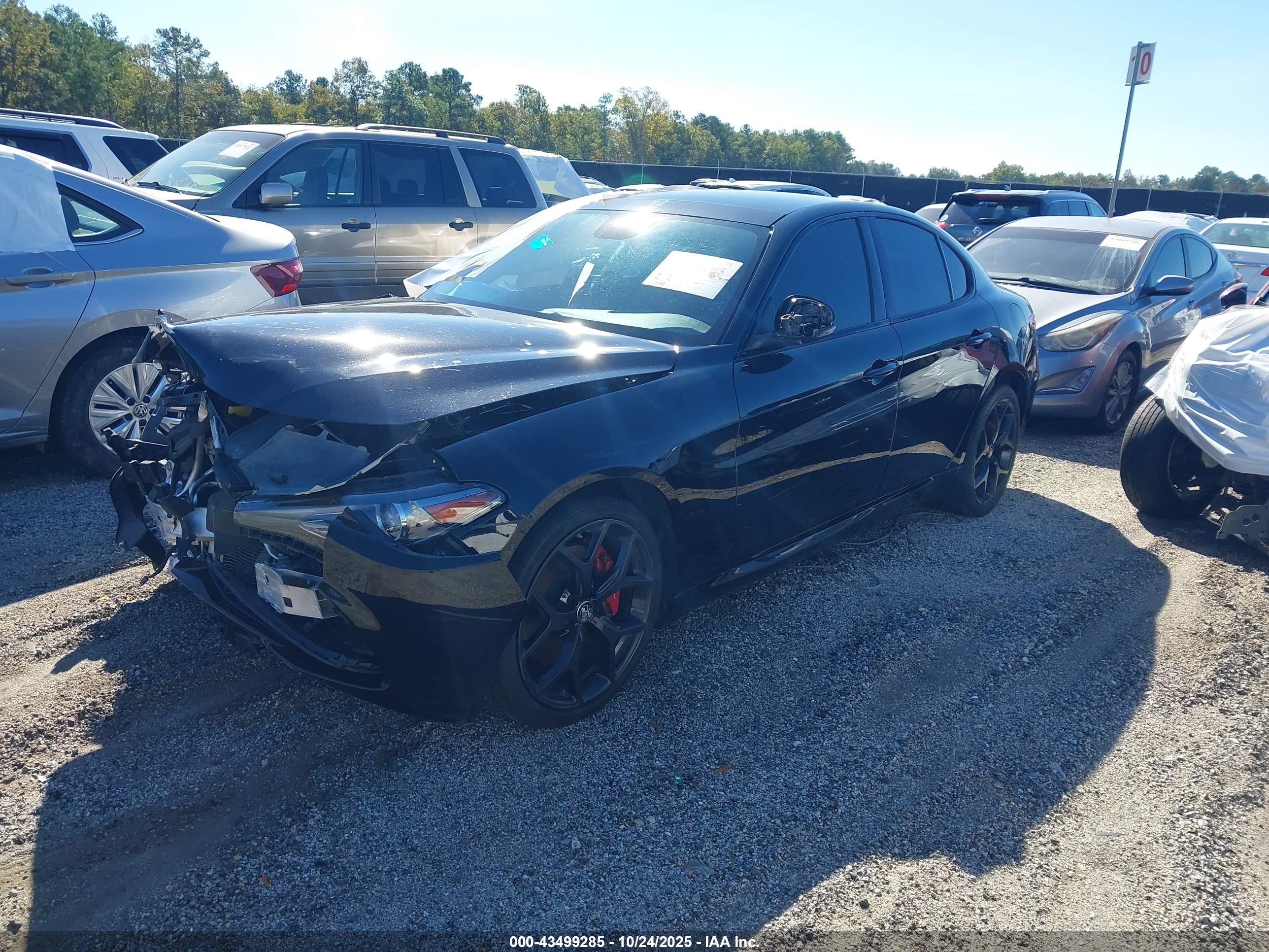 ALFA ROMEO image 2