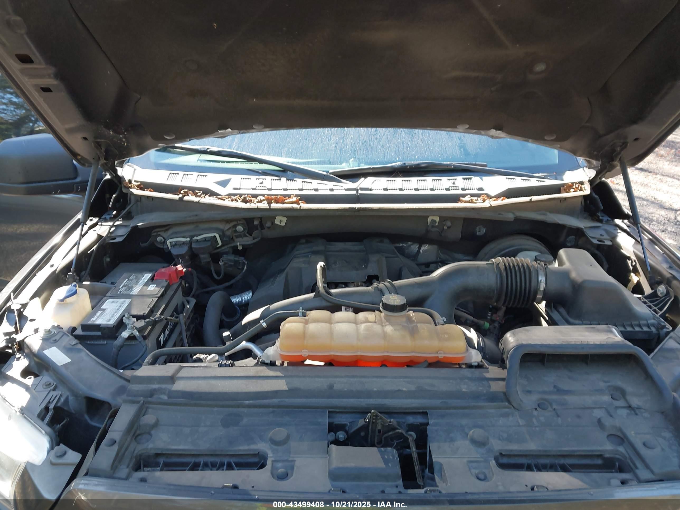 FORD F-150 image 10