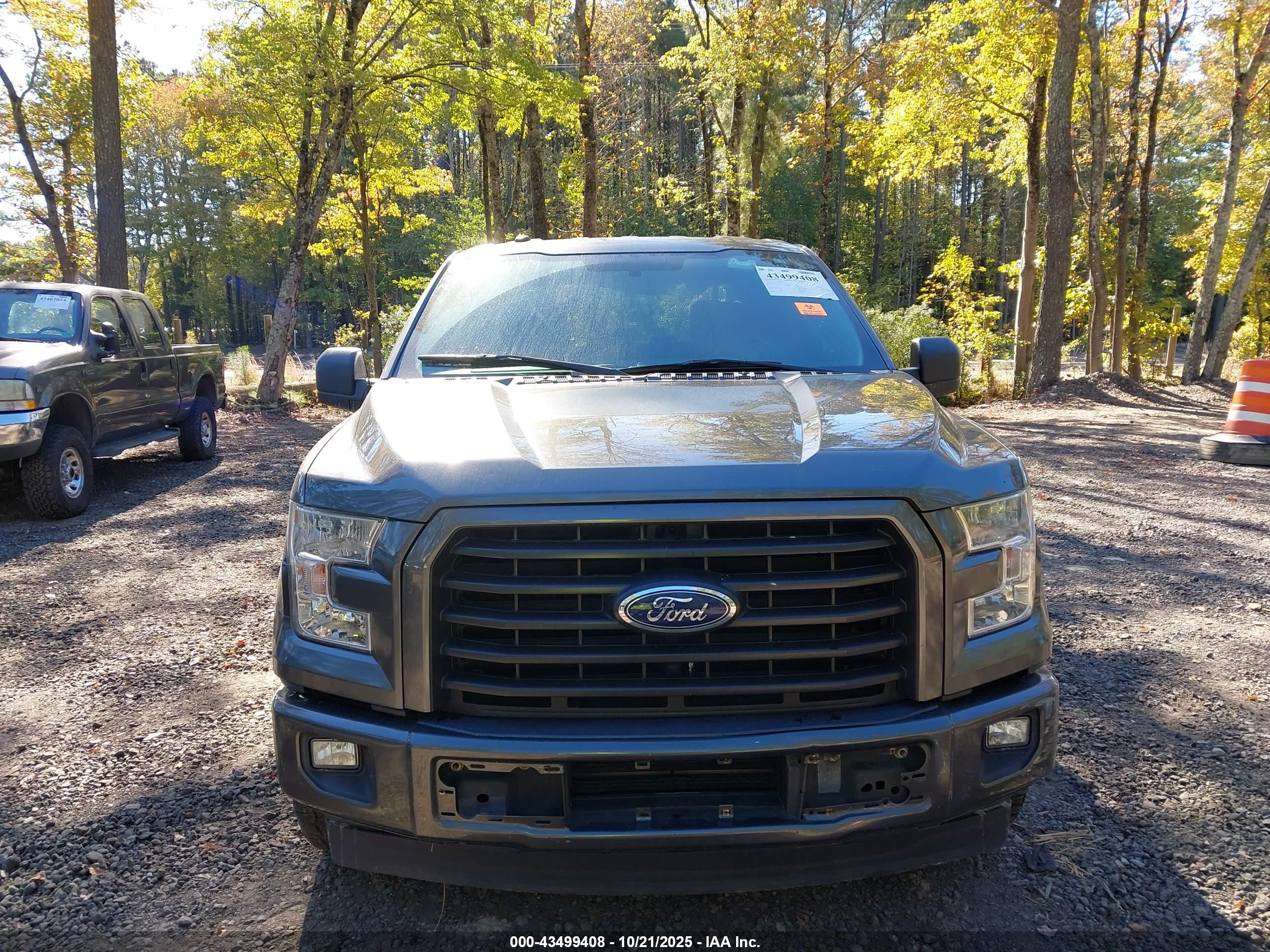 FORD F-150 image 6