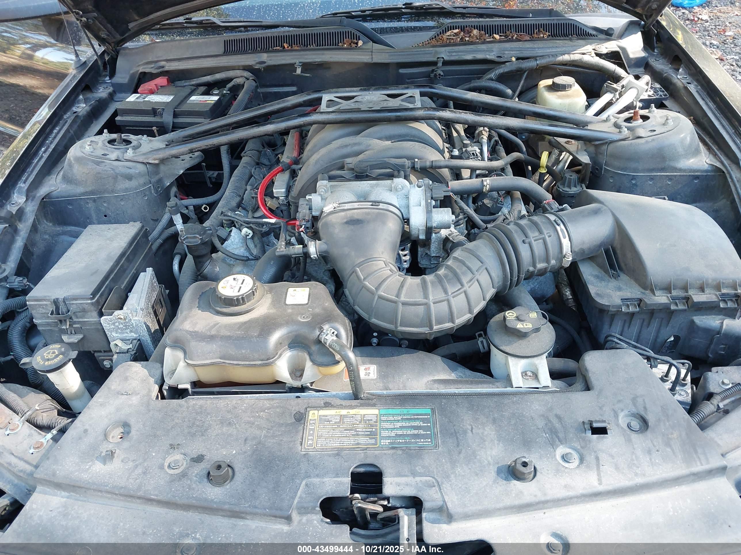 FORD MUSTANG image 10