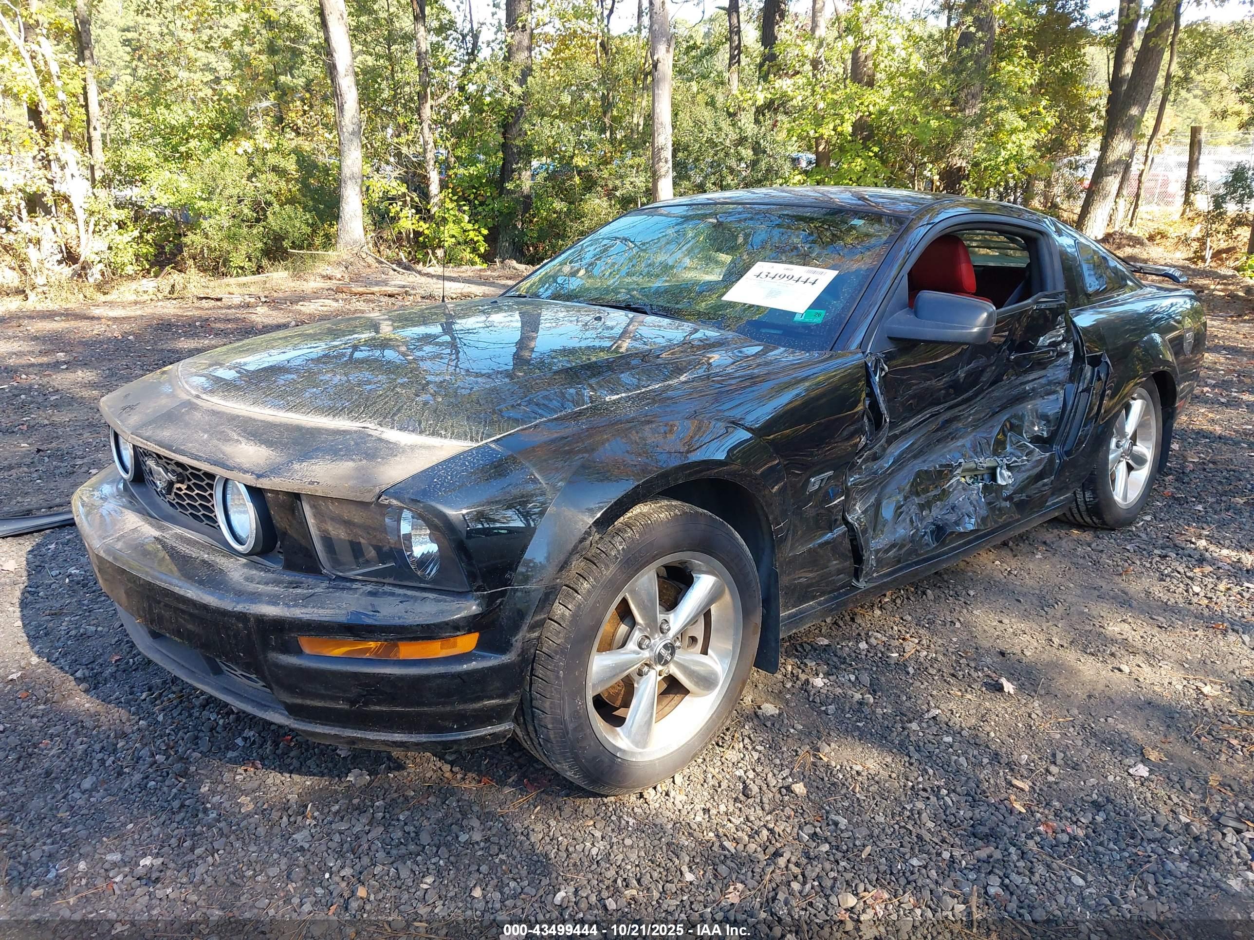 FORD MUSTANG image 2