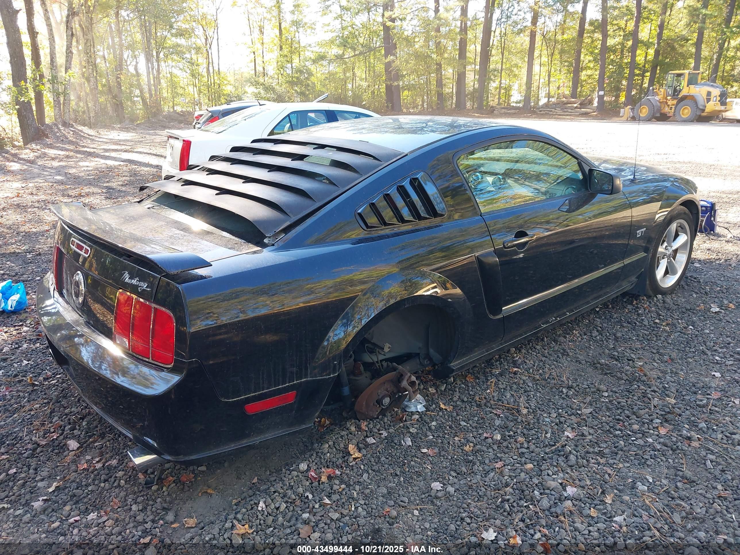 FORD MUSTANG image 4
