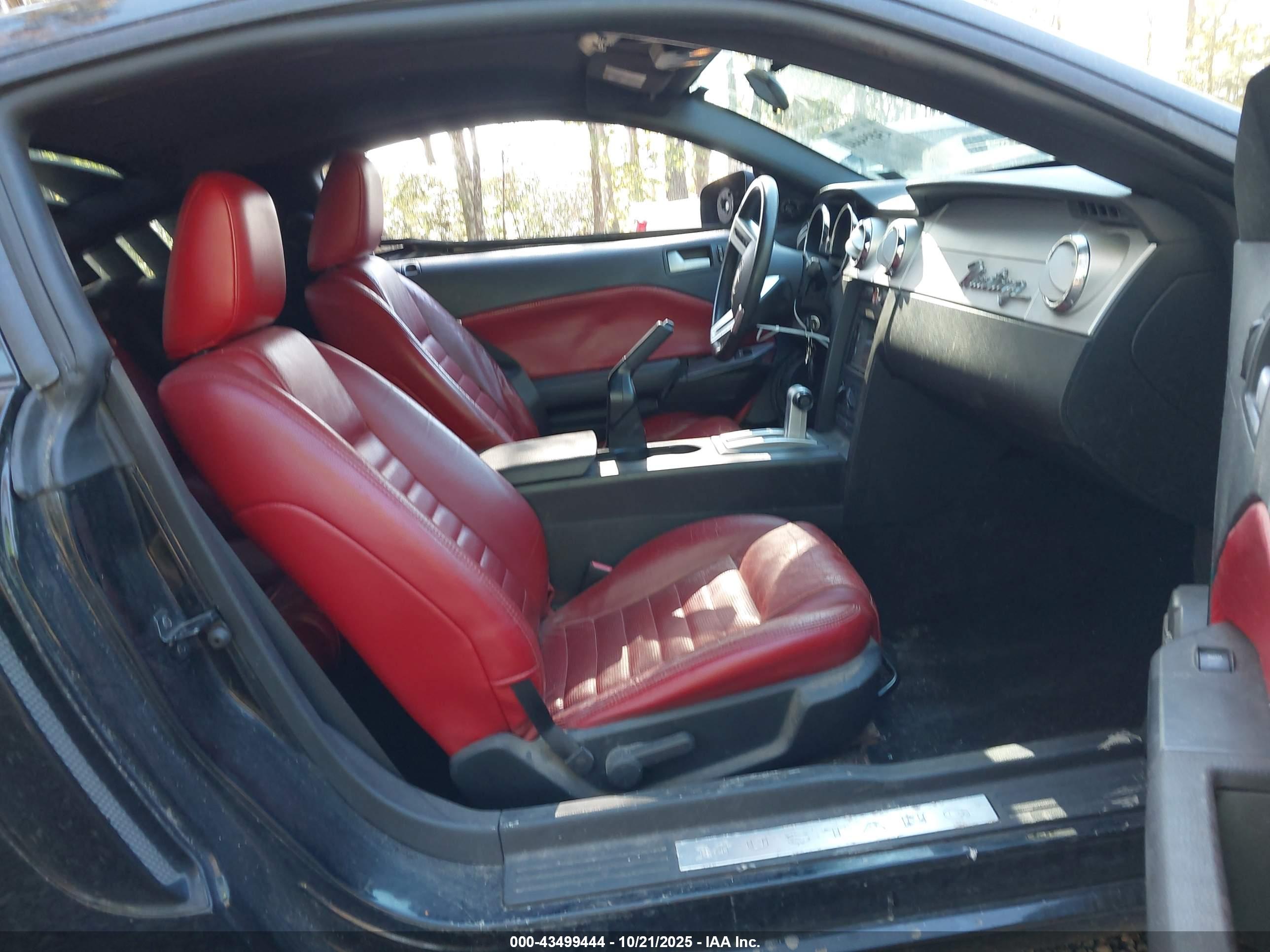 FORD MUSTANG image 5