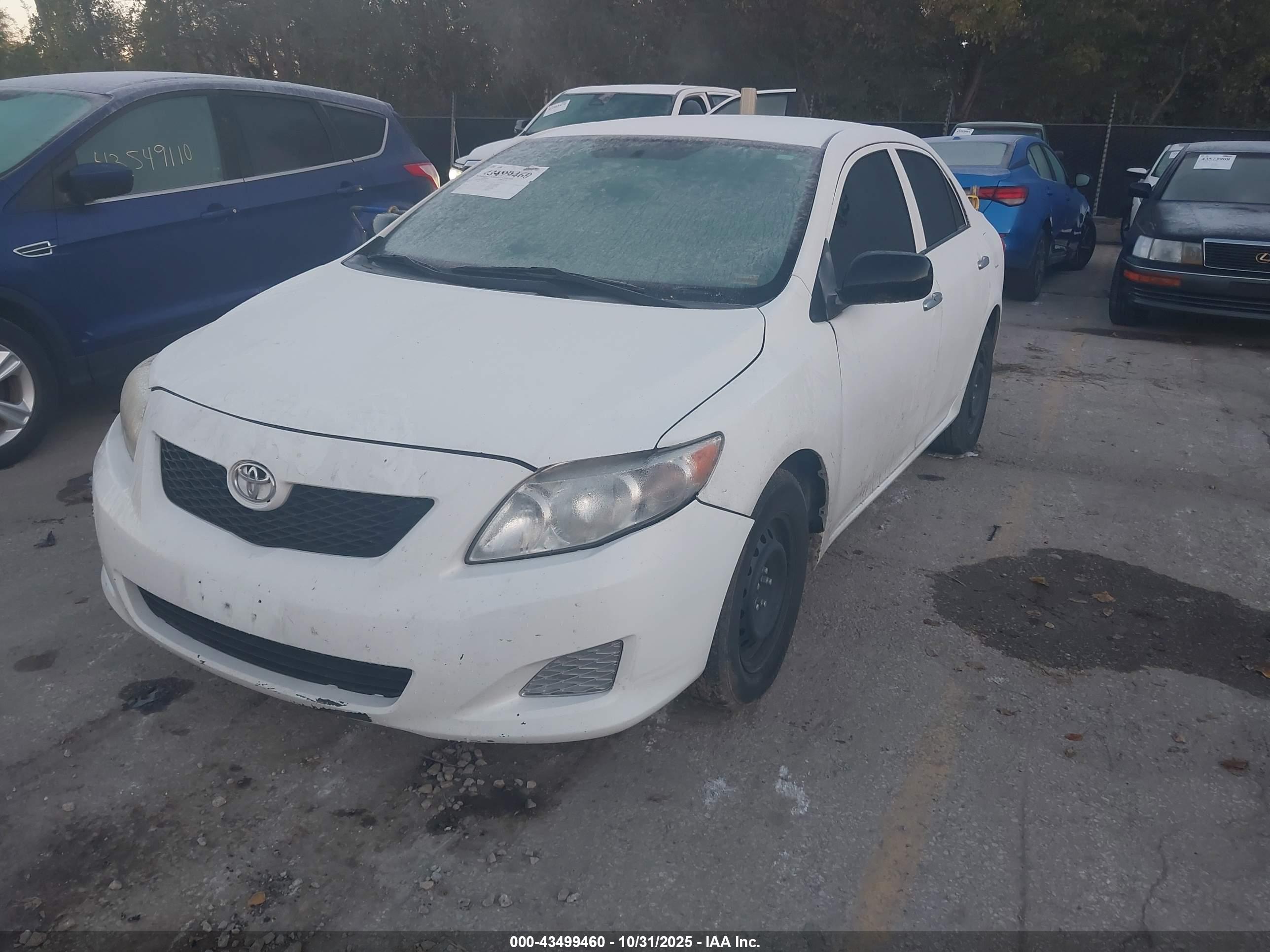 TOYOTA COROLLA image 2