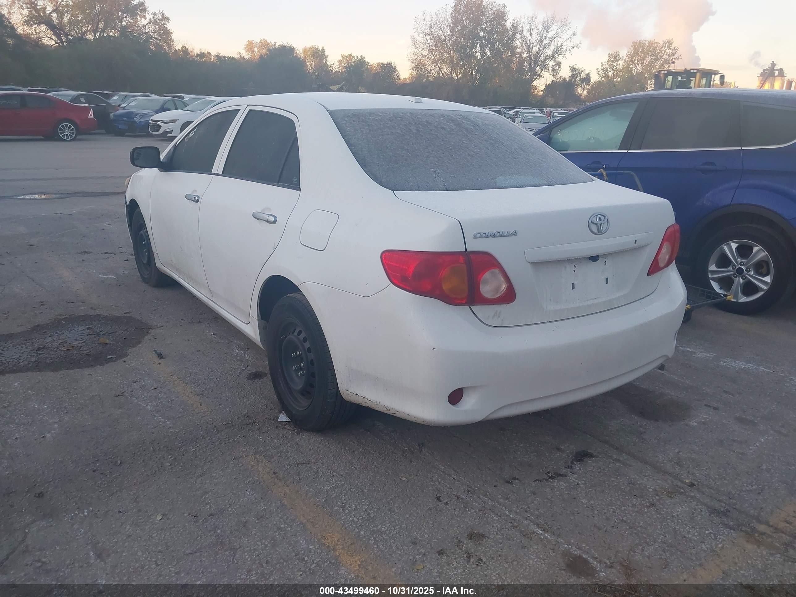 TOYOTA COROLLA image 3