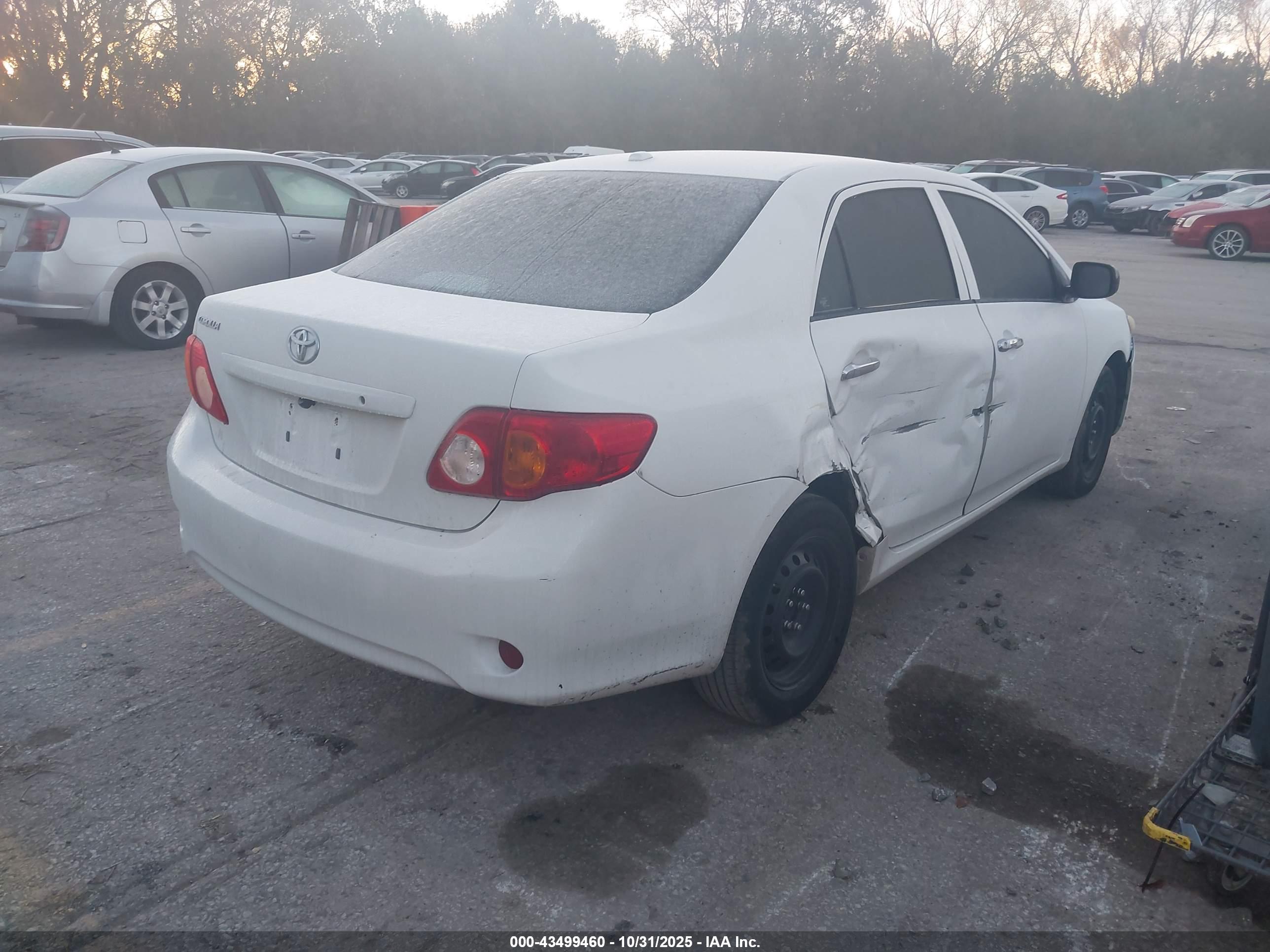 TOYOTA COROLLA image 4