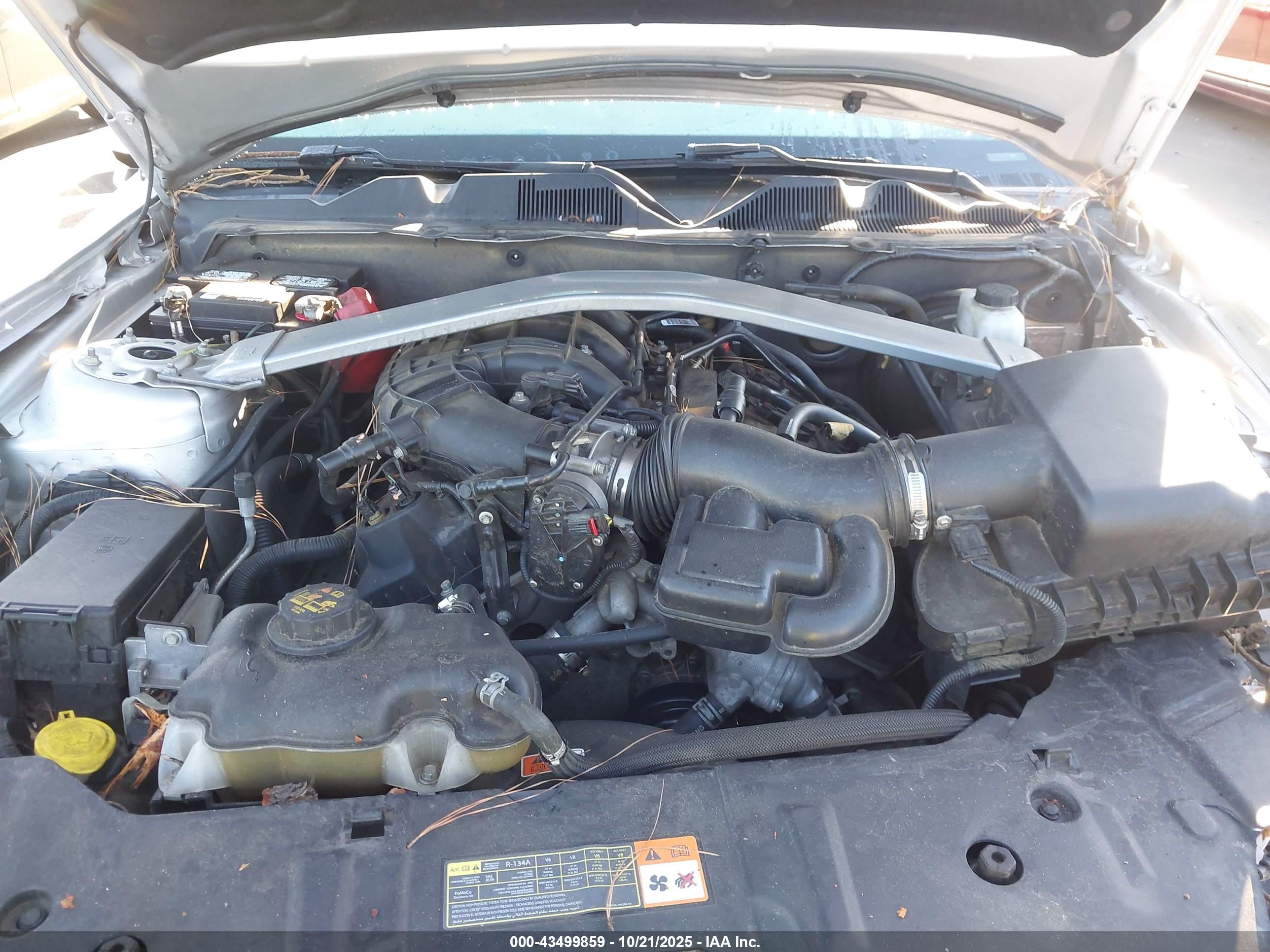 FORD MUSTANG image 10